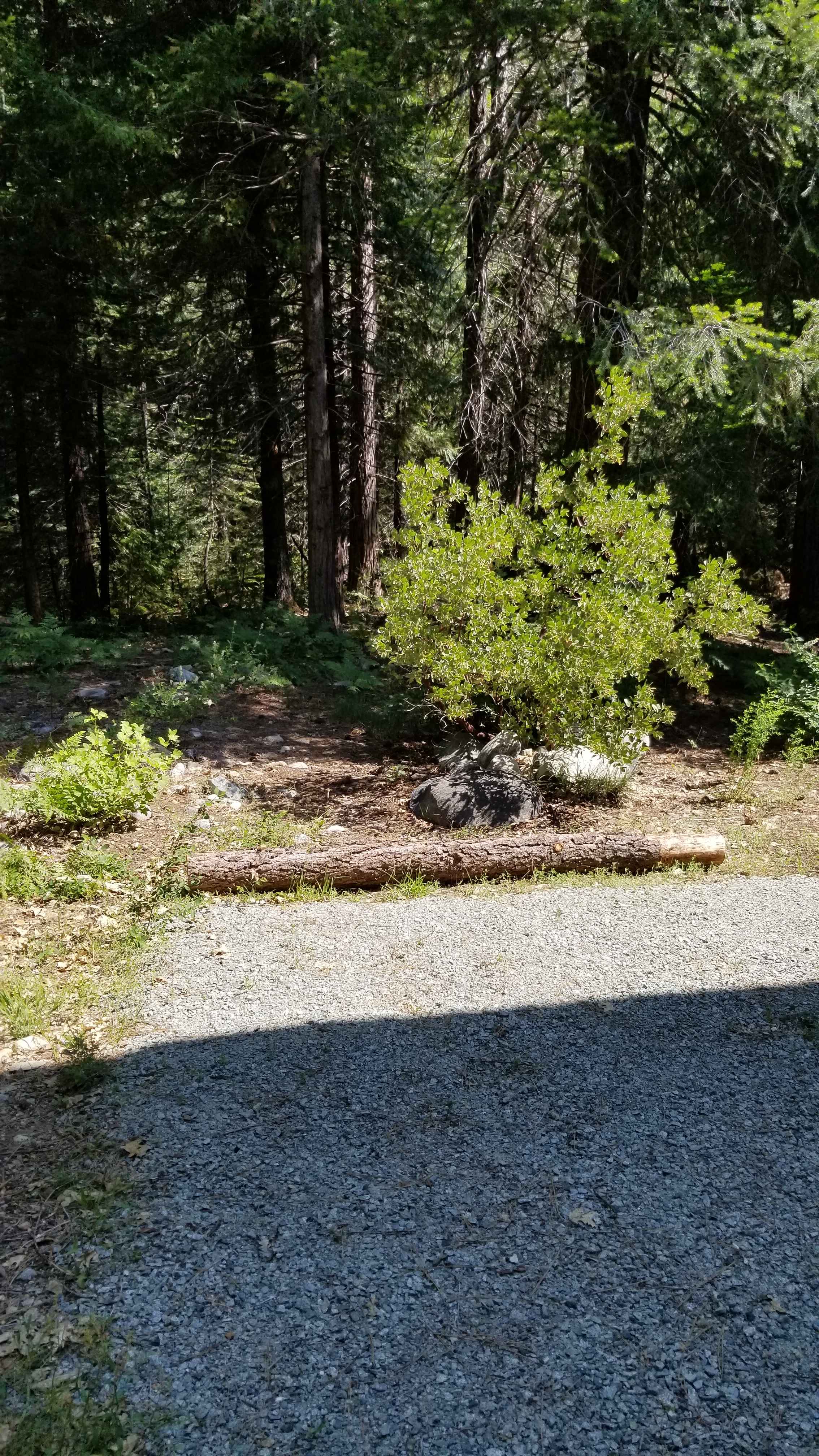 Bright Bear Camp in Tahoe NF