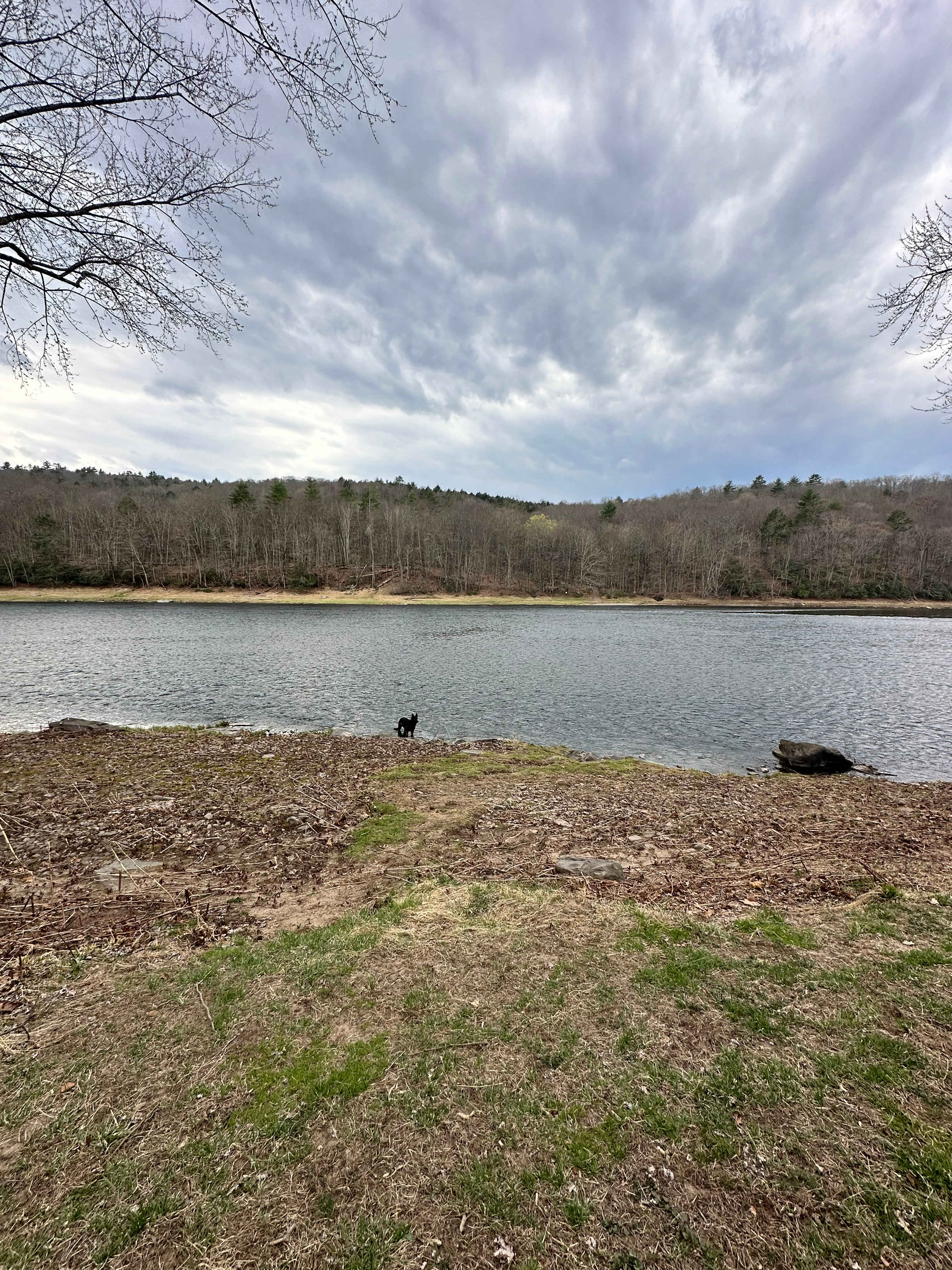 Delaware  River  RV Site