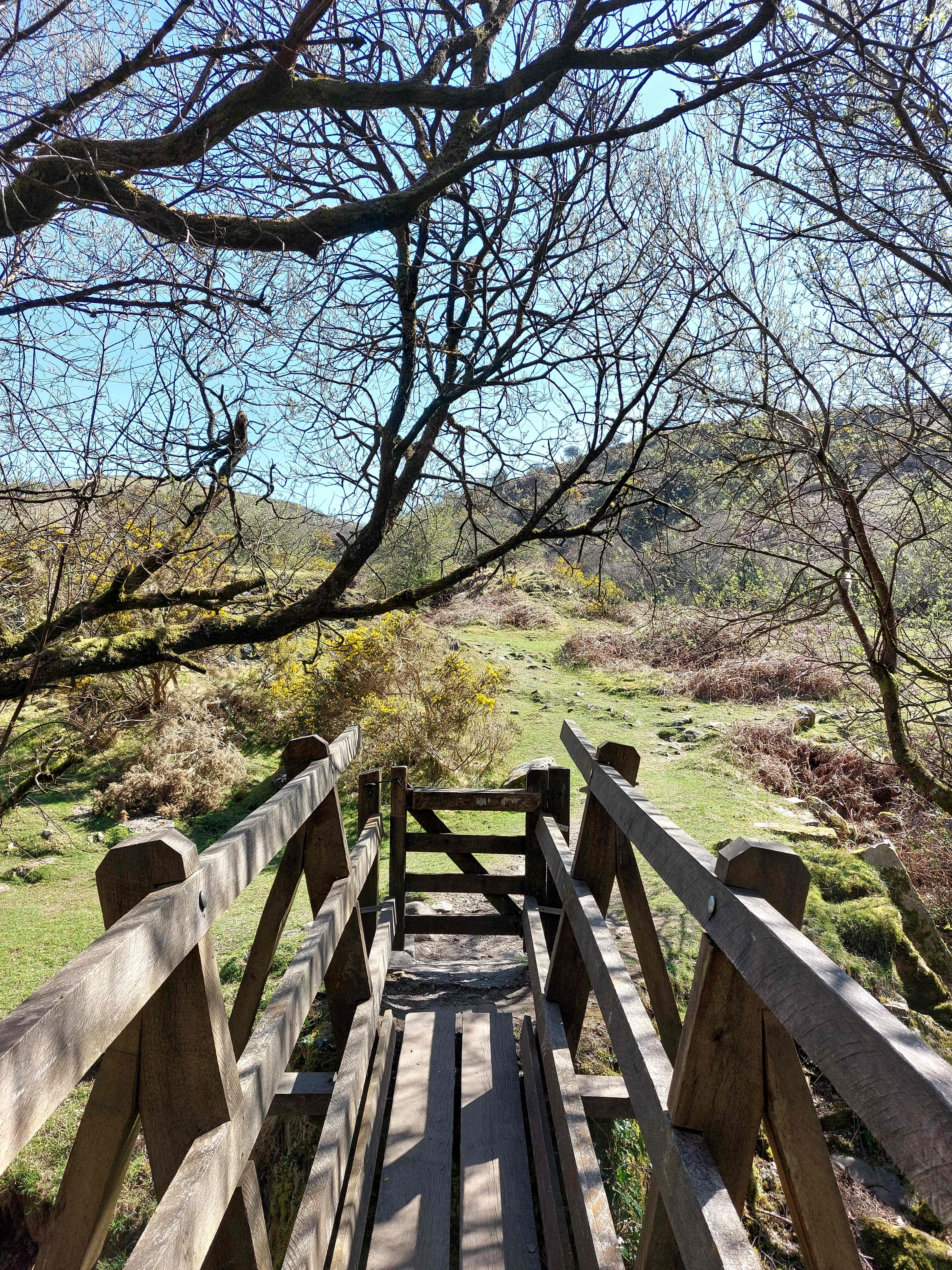 Meldon Lake and Woods Wild Camping