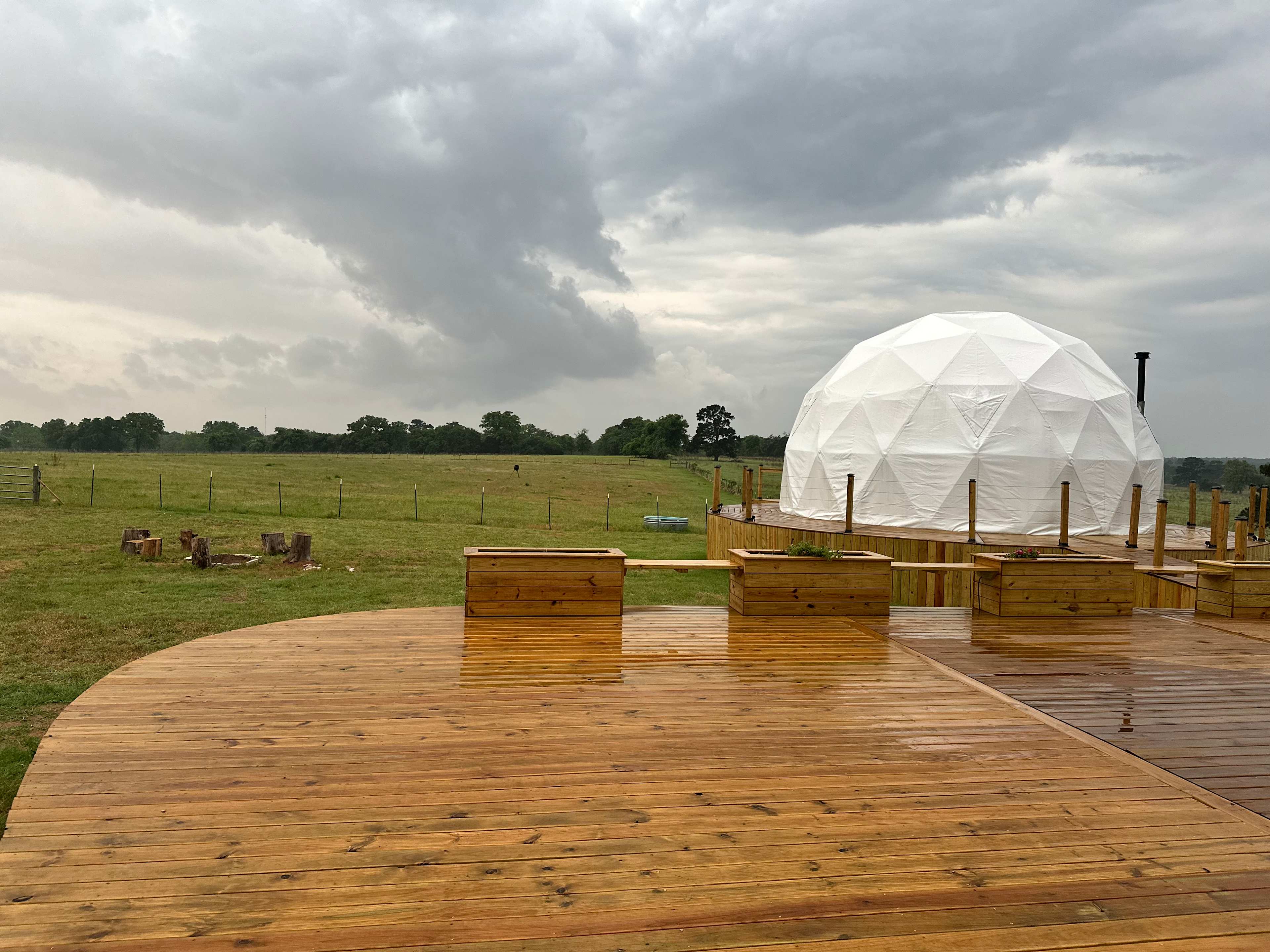 The dome