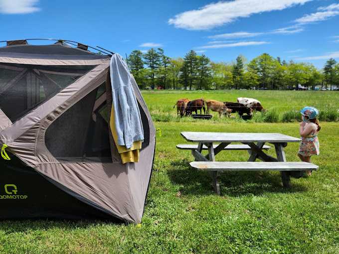 Wolfe's Neck Oceanfront Camping