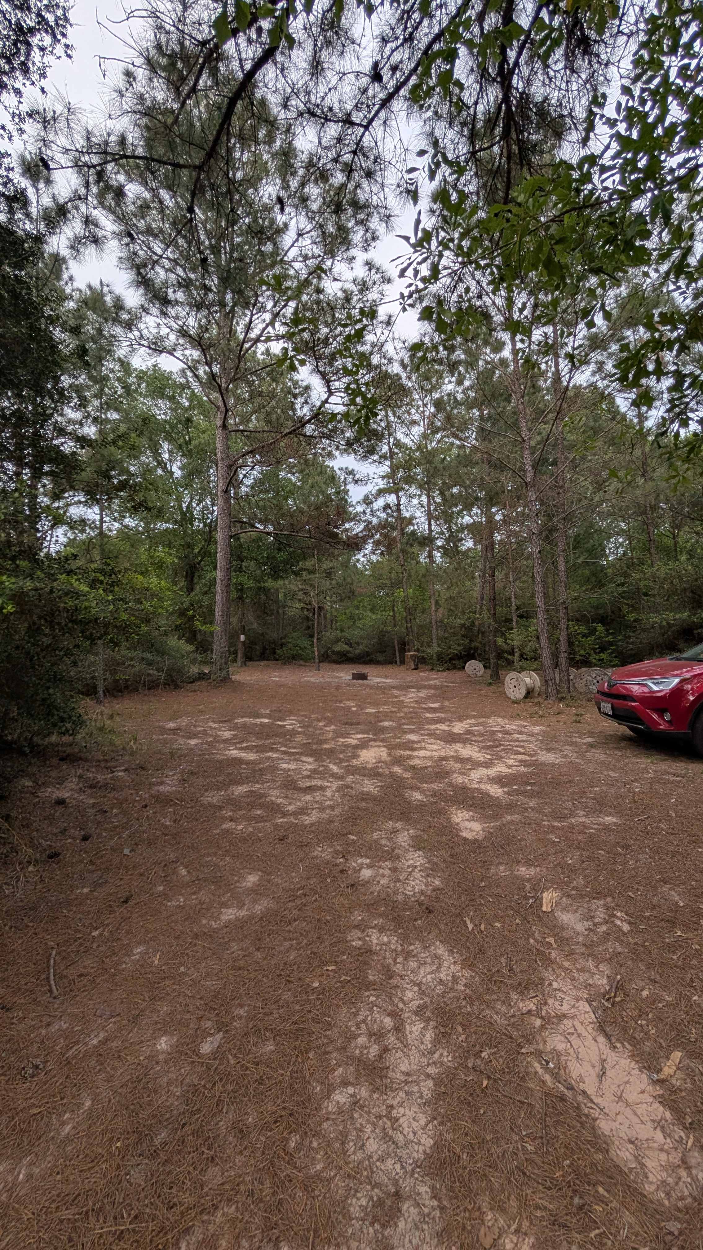 Campsite 9 is spacious 