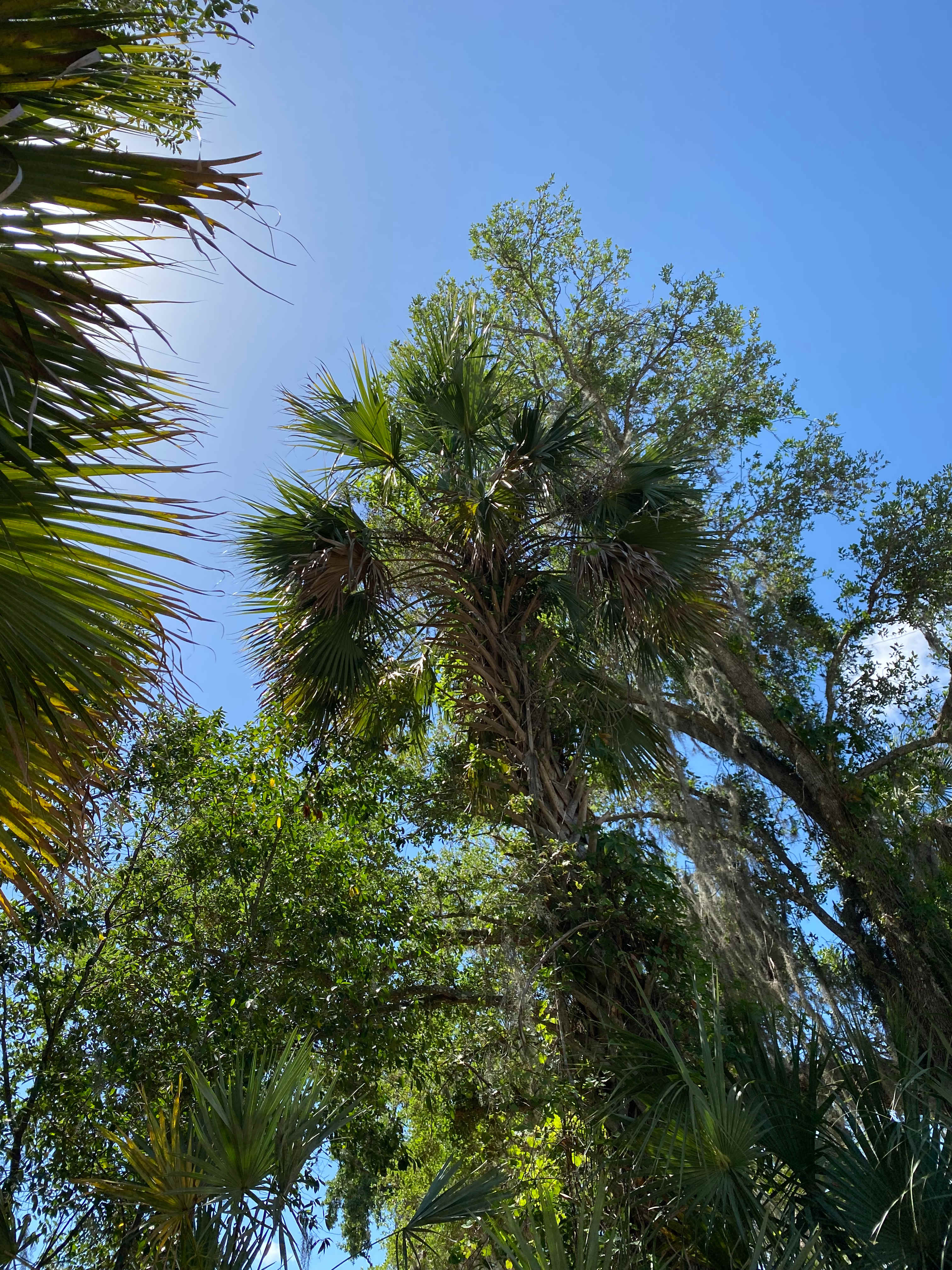 View from our camping couch.