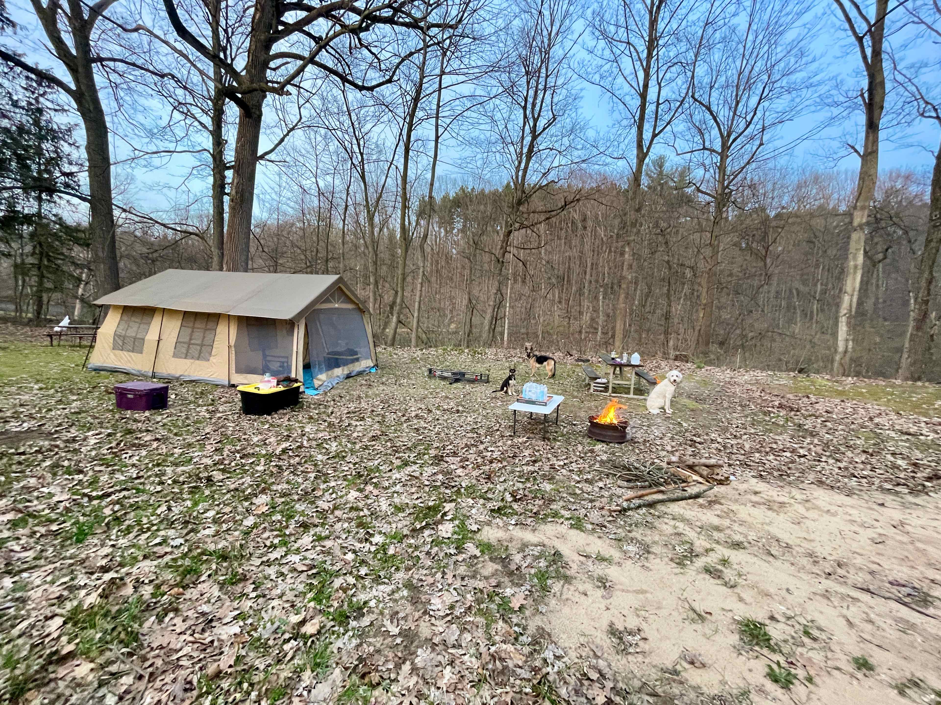 Forest Haven RV Park and Campground