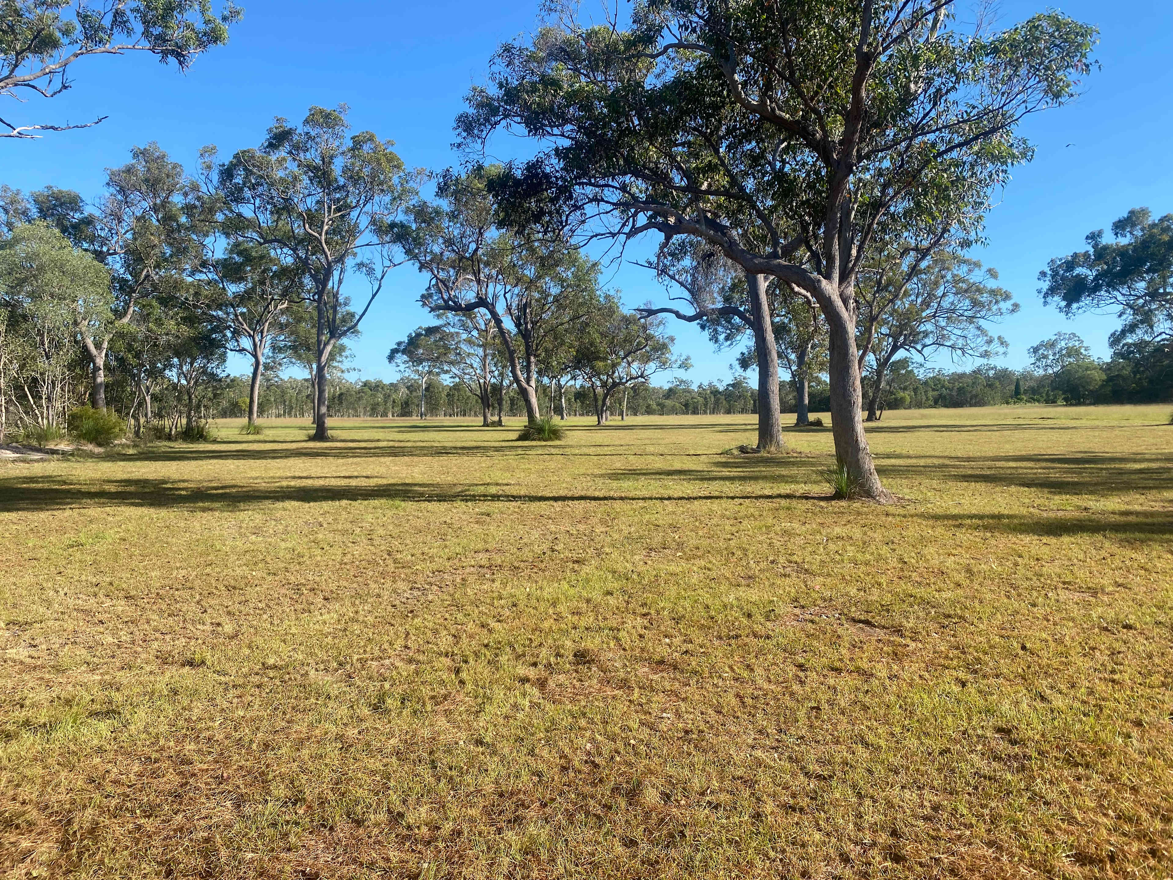 Always plenty of space here