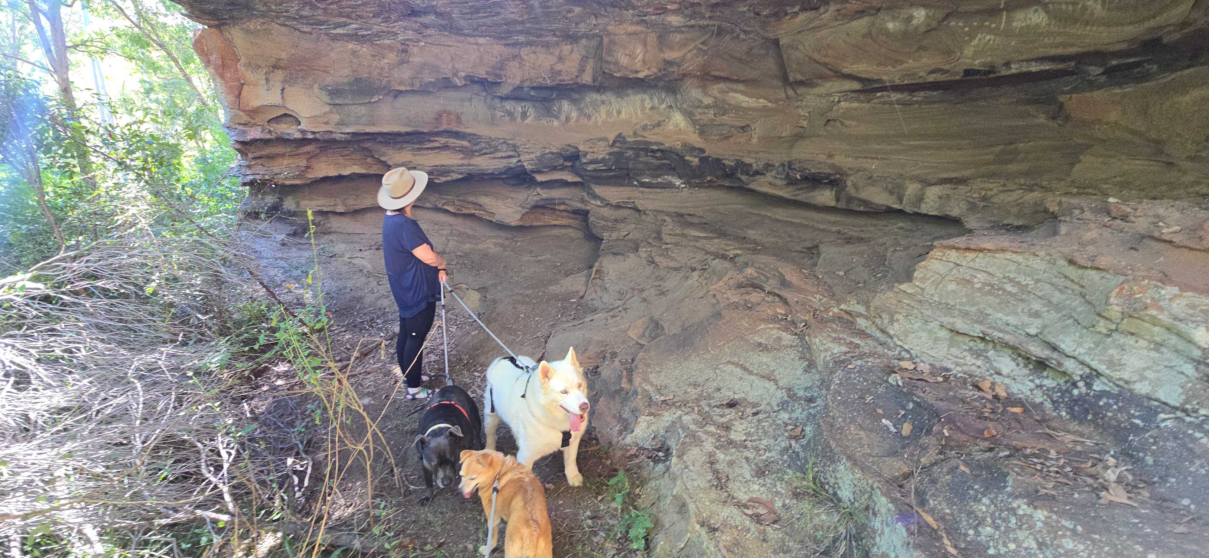 Wollombi Private Earthways camp