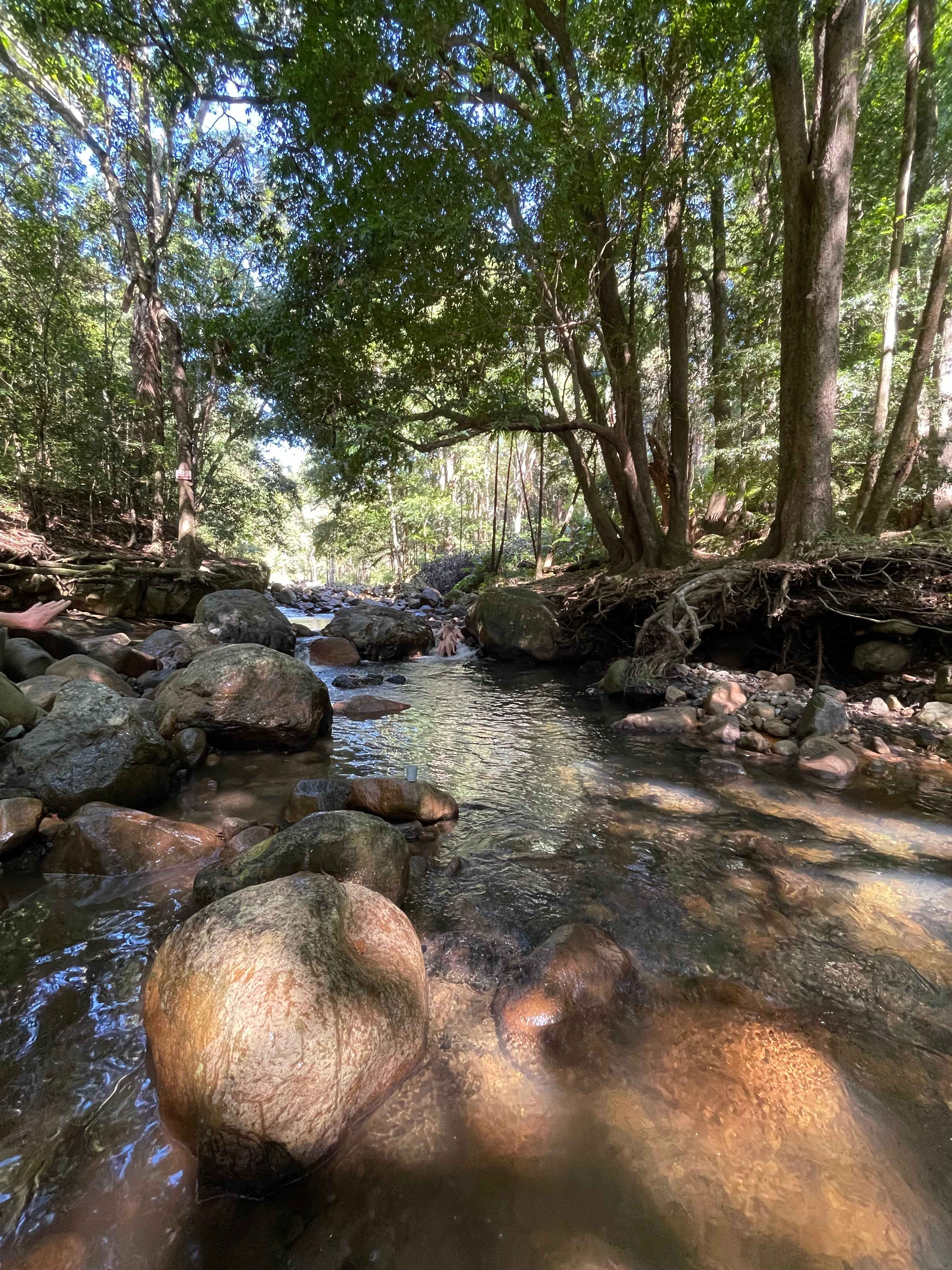 Mt Warning Rainforest Park
