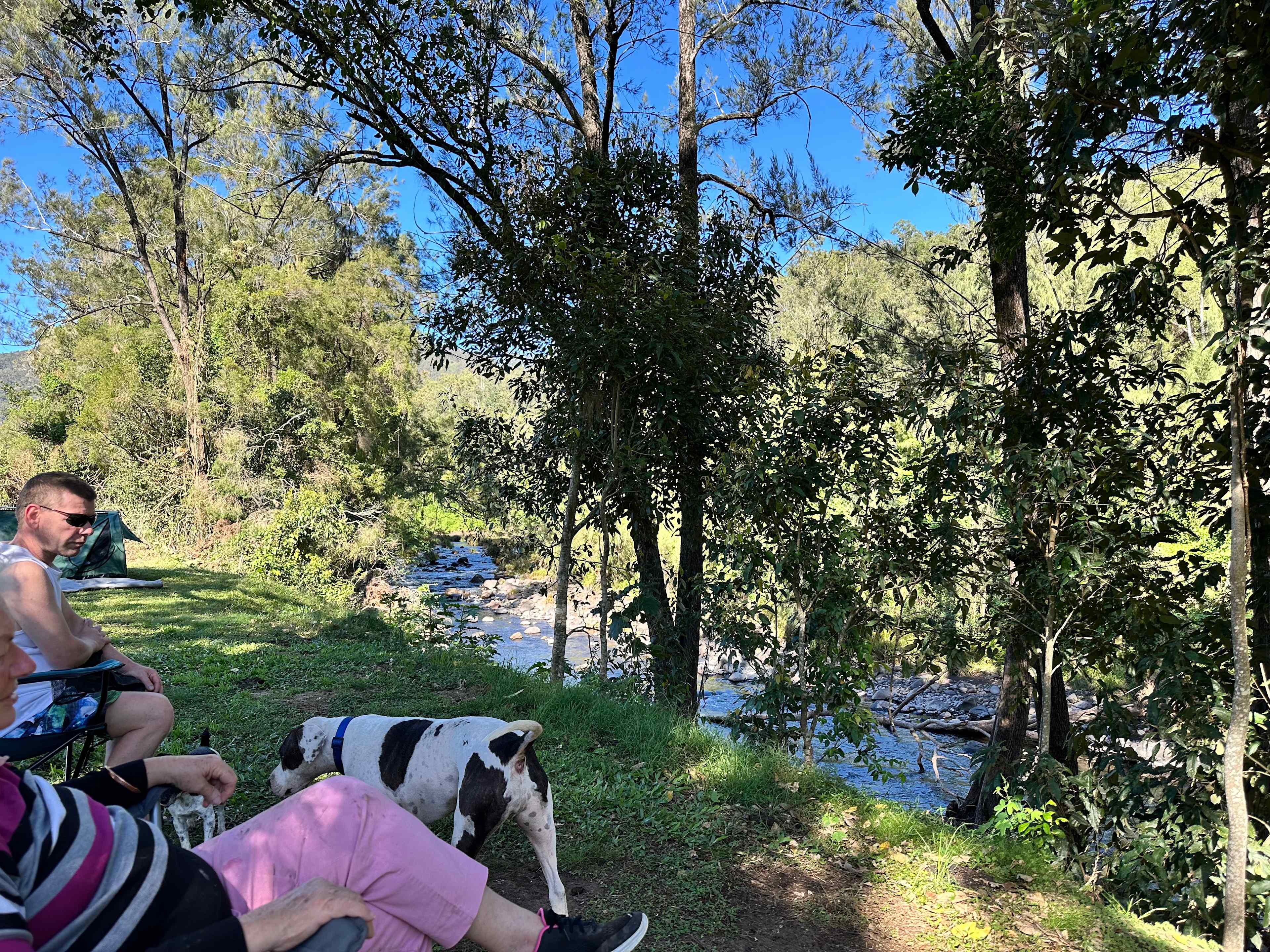 Sarabah Creek Camping