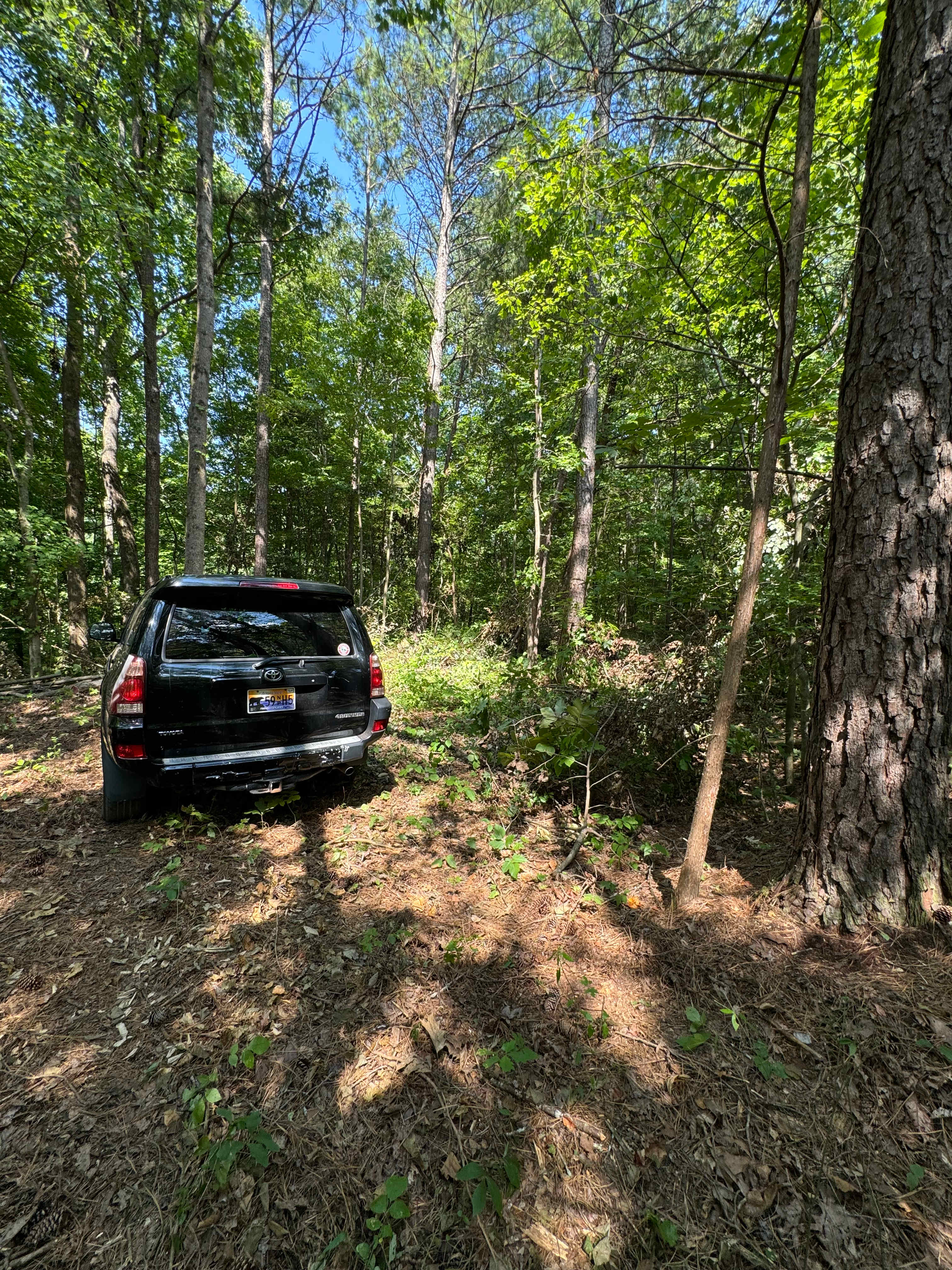 Smitty Campground
