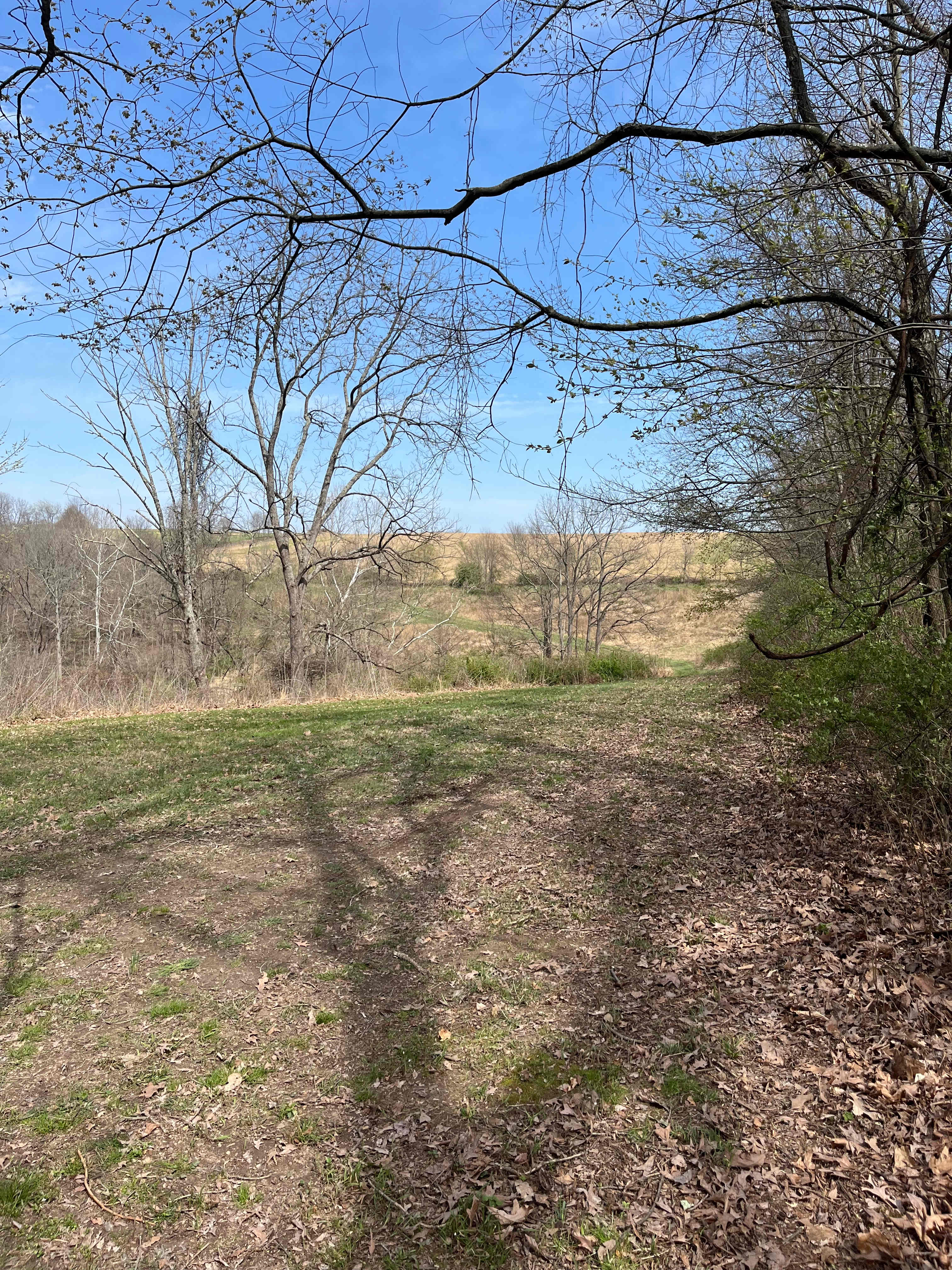 McKee Farm - Treehouses and Camping
