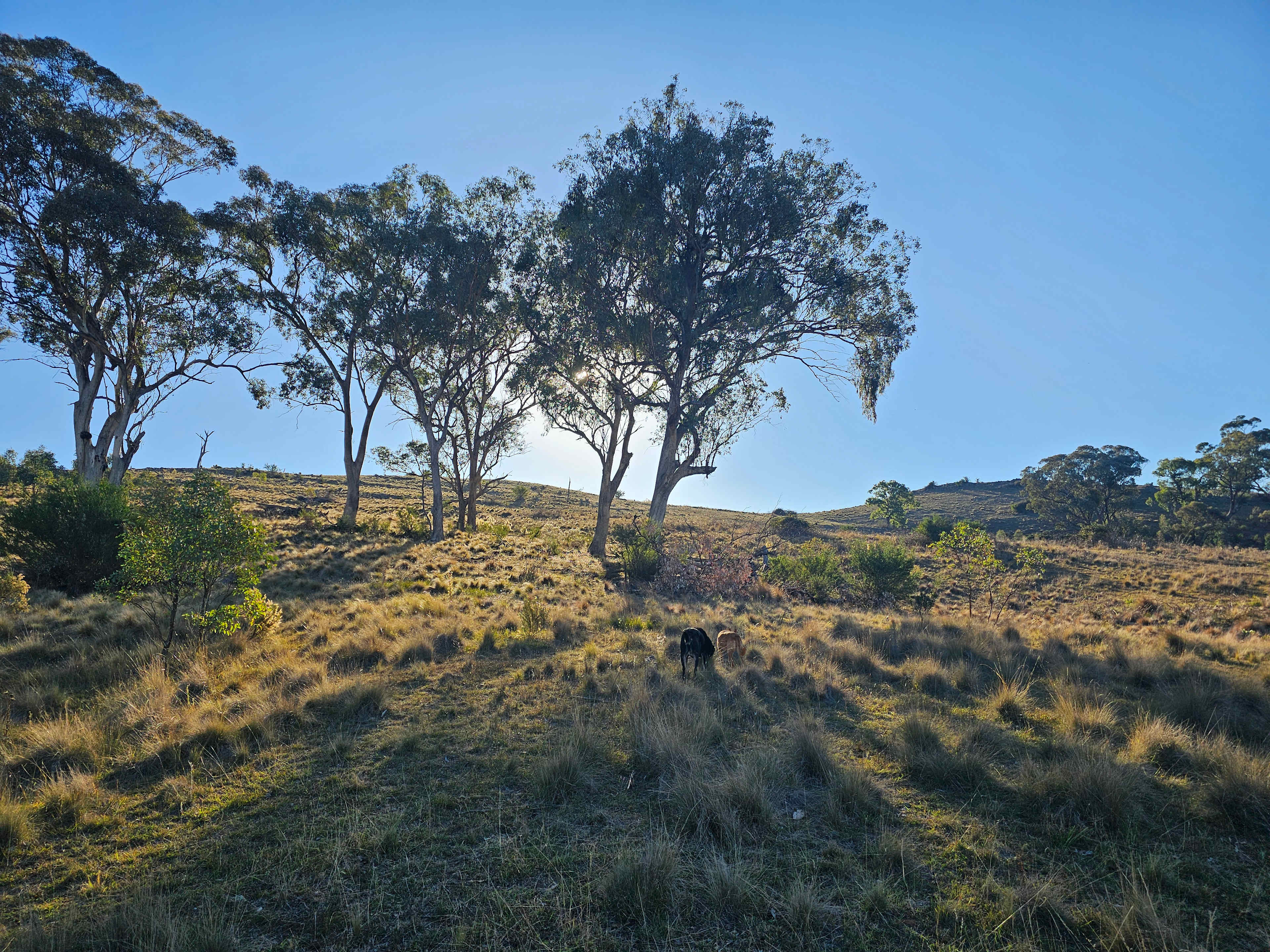 Sofala