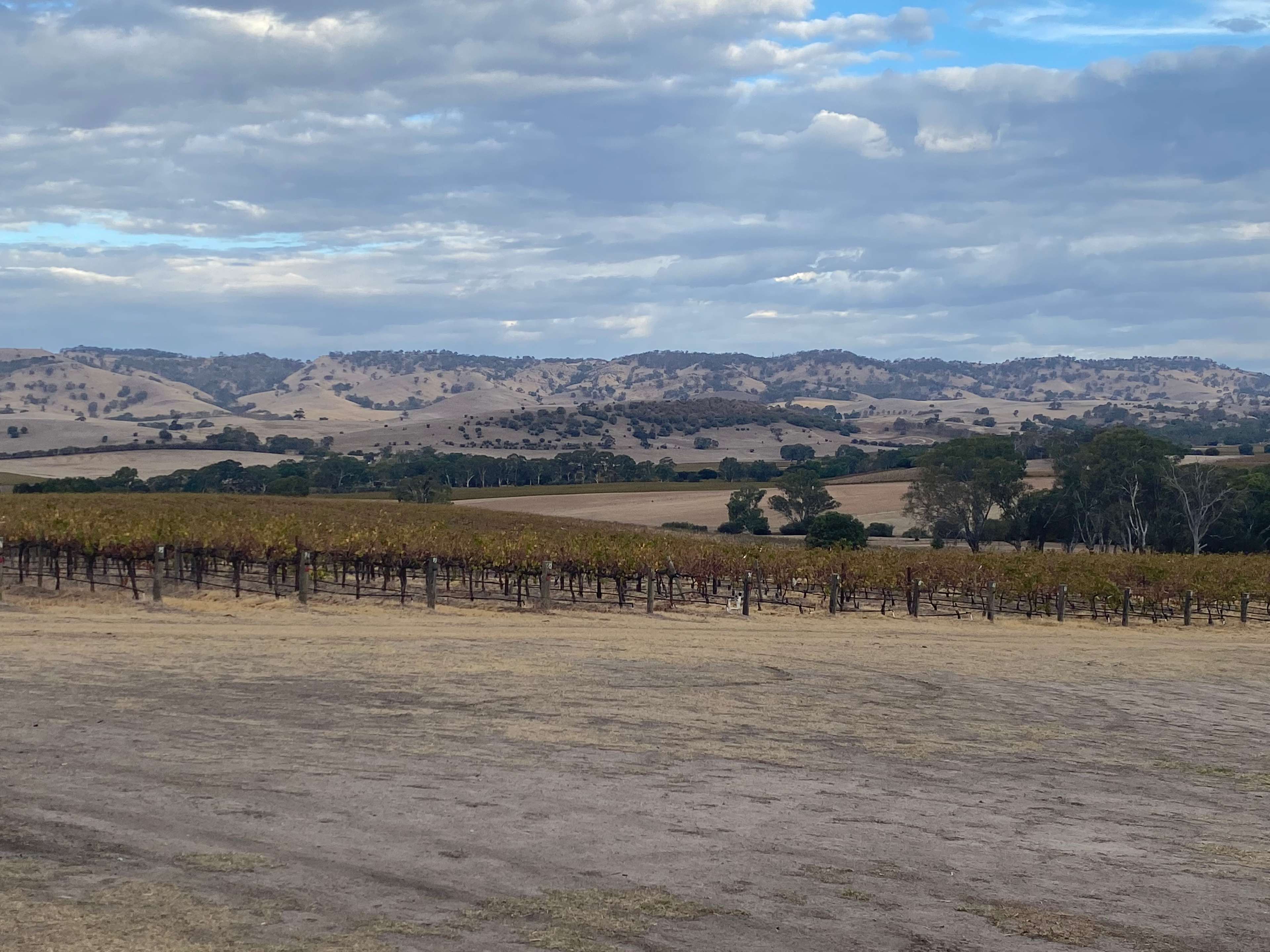 God’s Hill Wines & Ennia Cucina