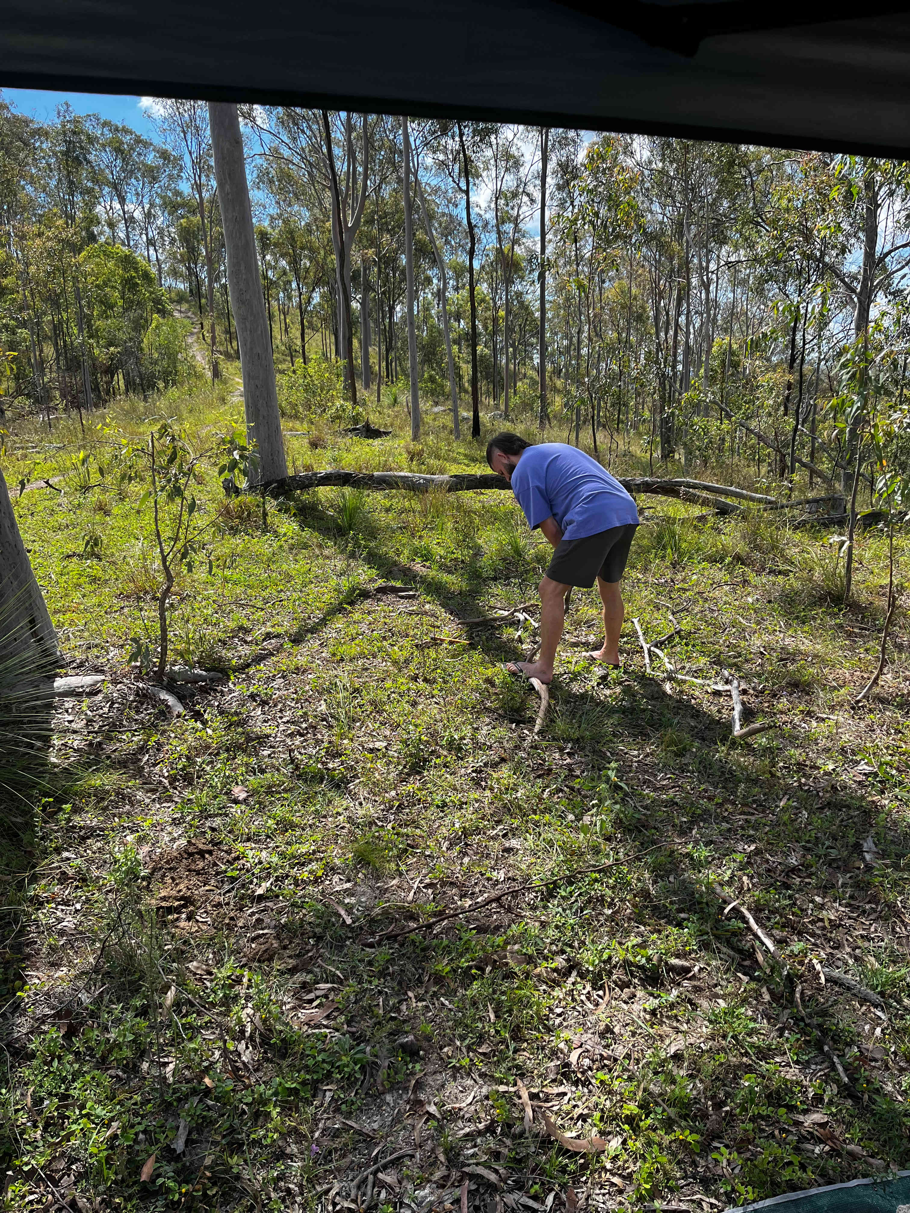 Mountain View - Mount Perry Farm