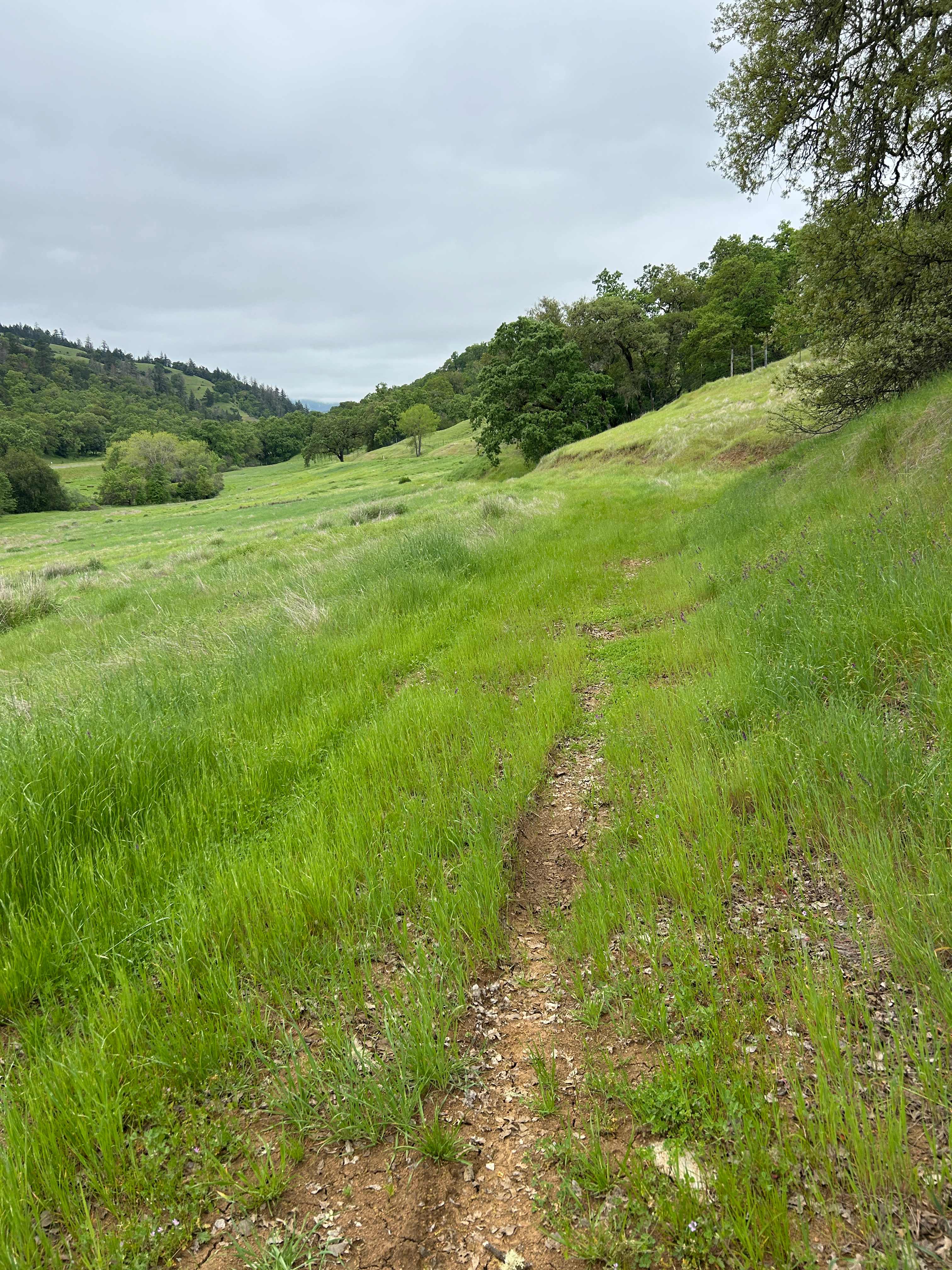 Hiking trails across the highway. 