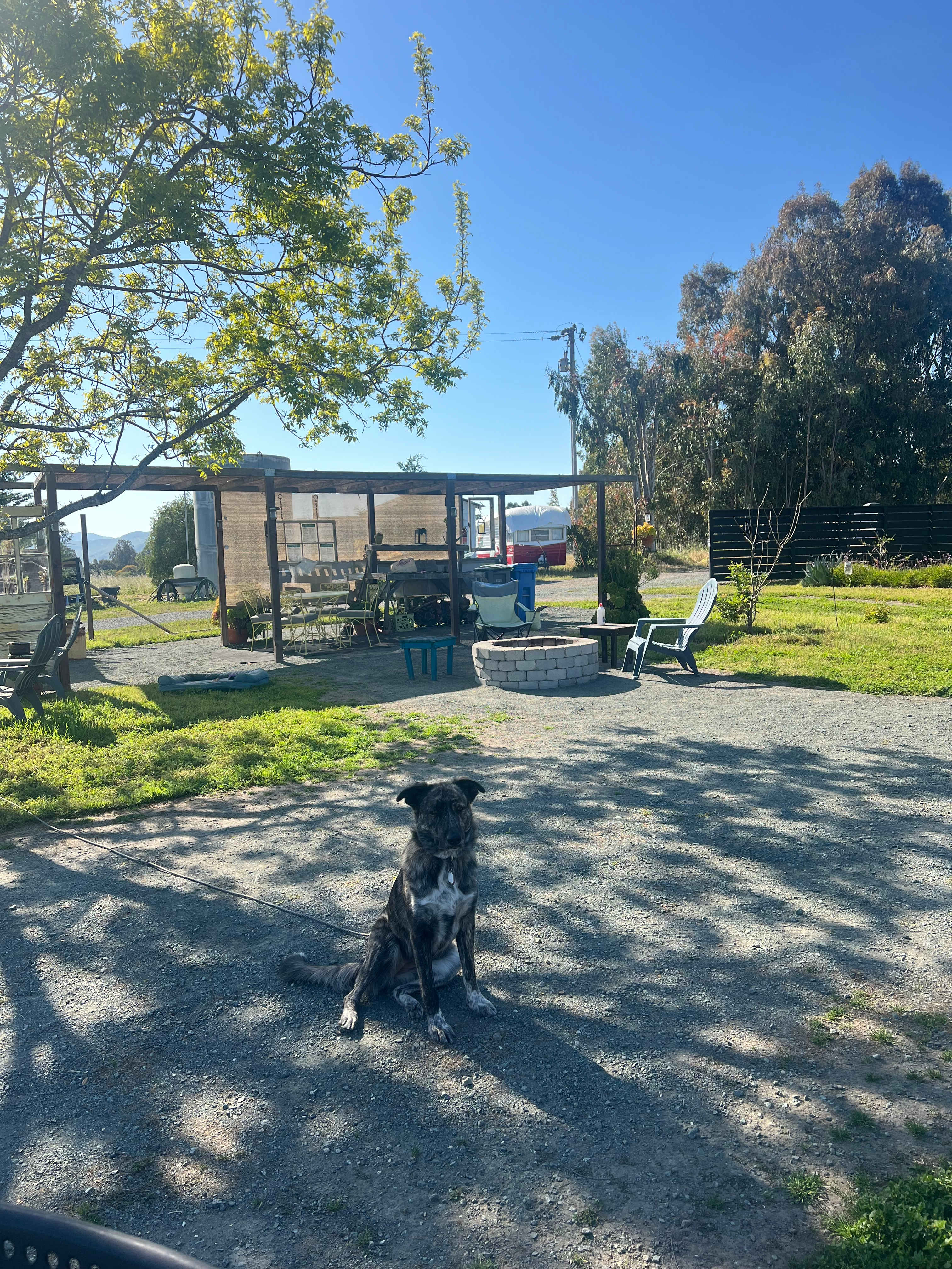 SLO Country Camp