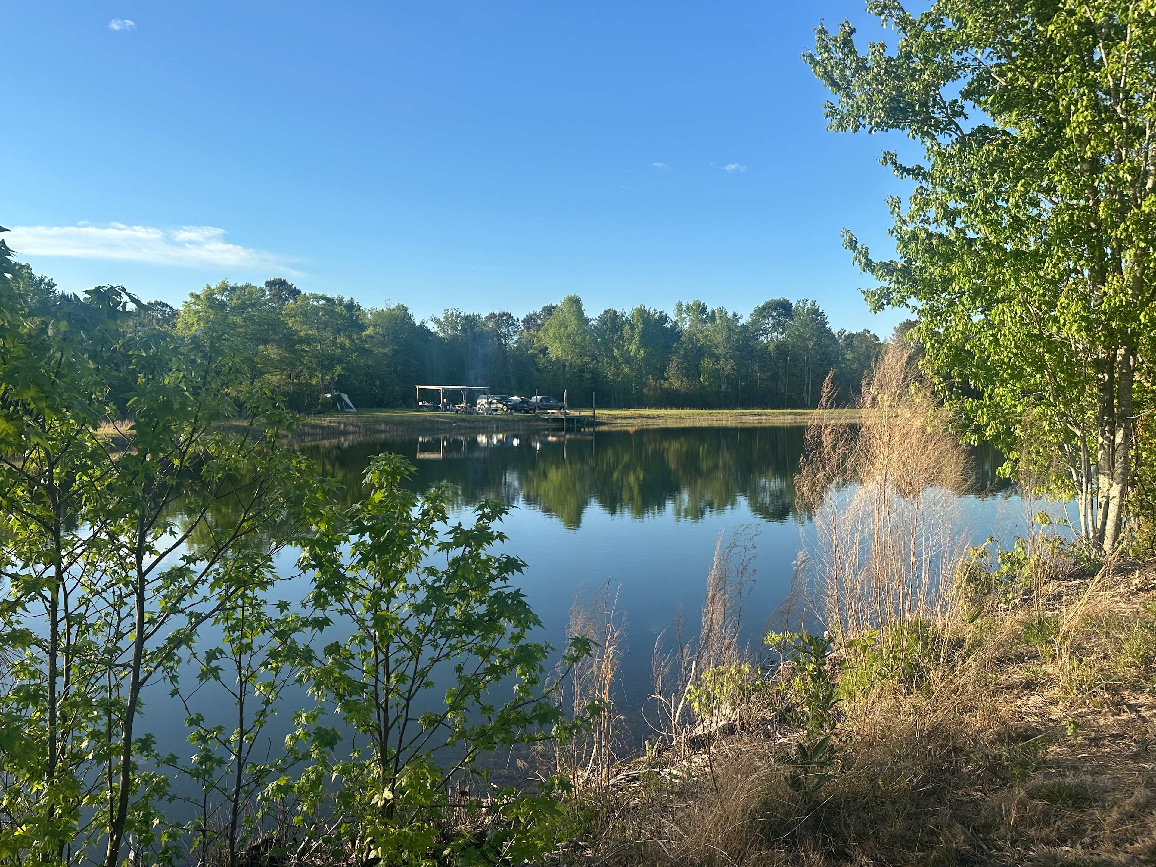 The Pine Tree Retreat