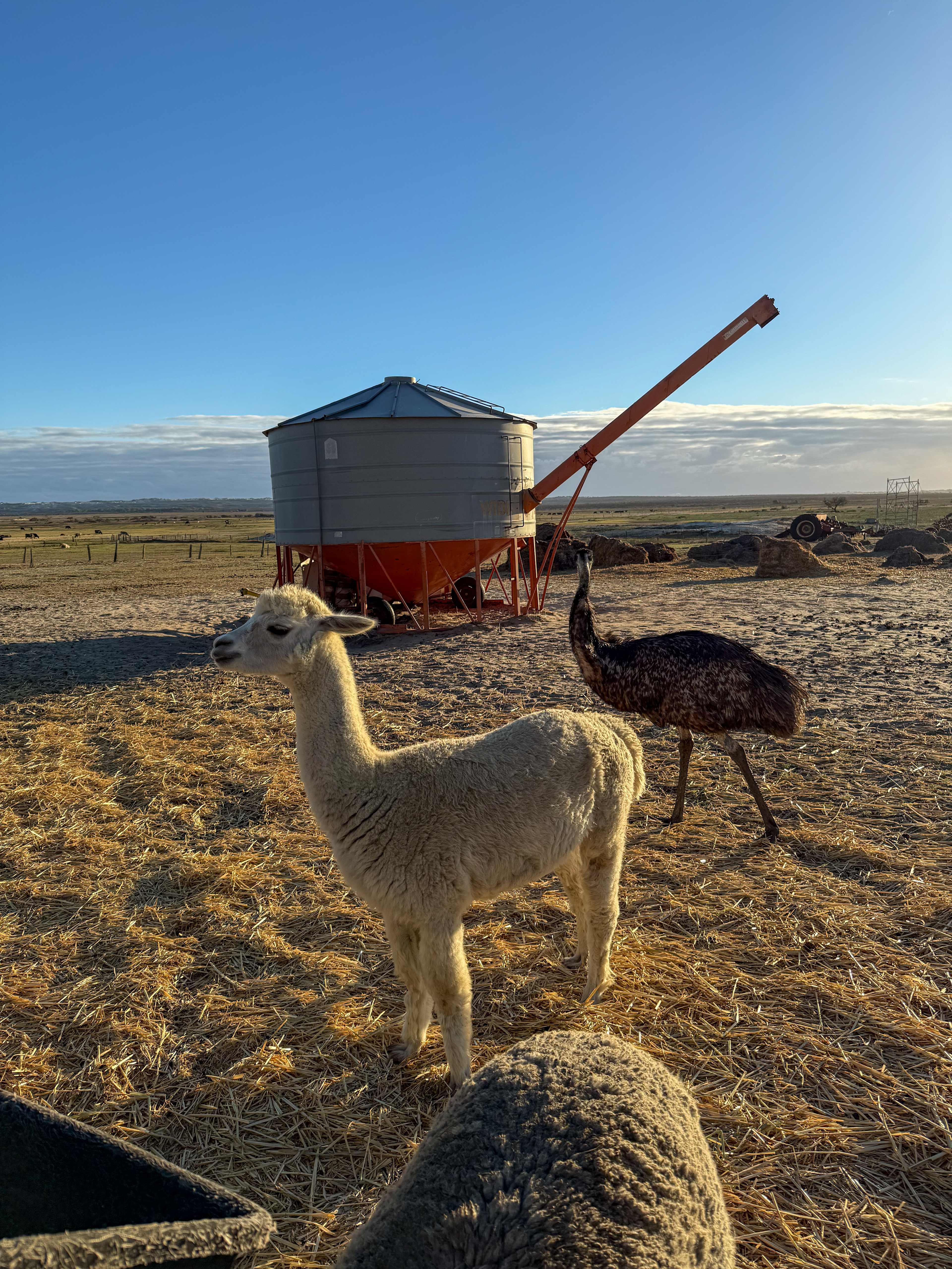 Nambung Station Stay