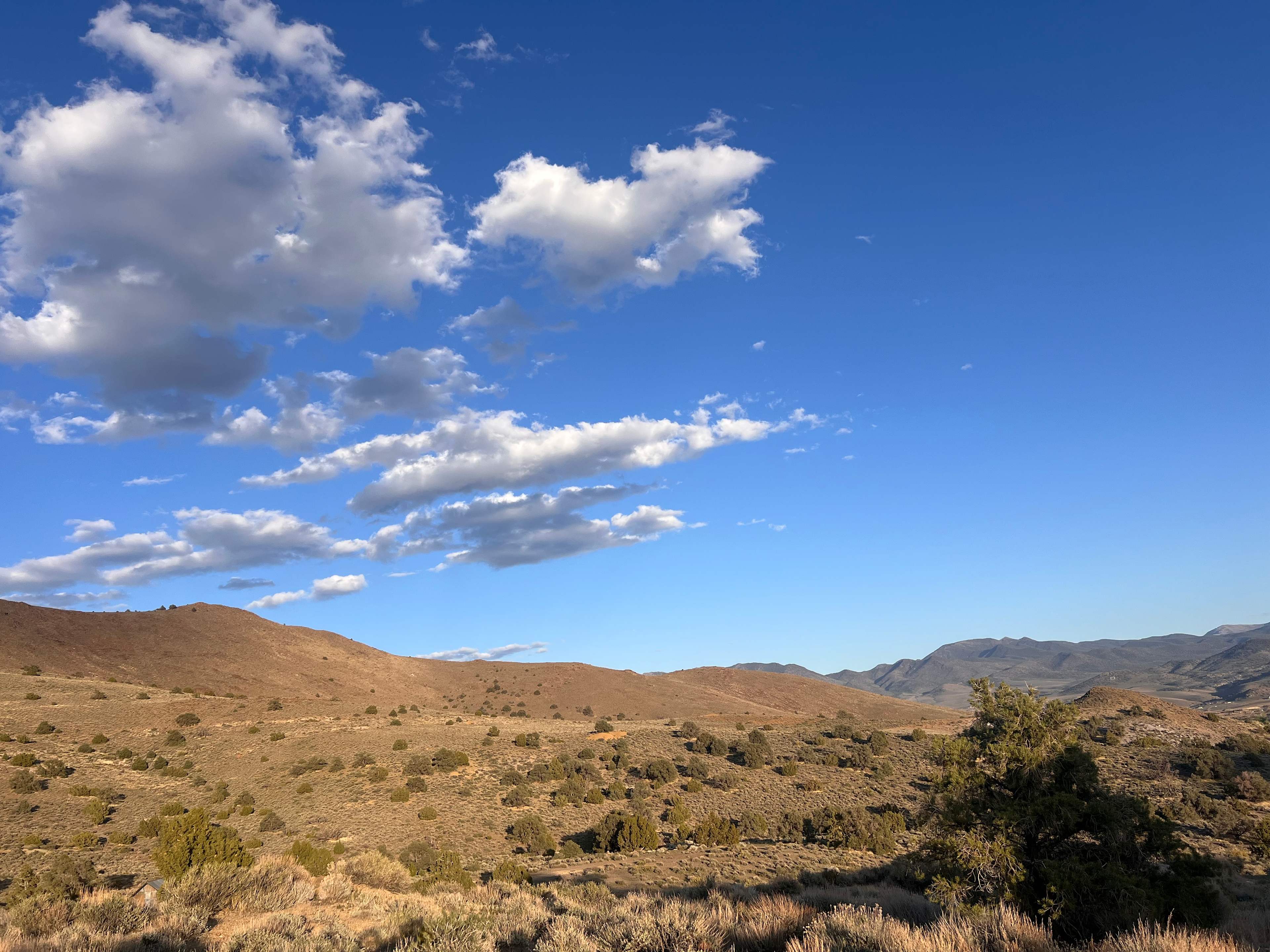 Haven On The Comstock