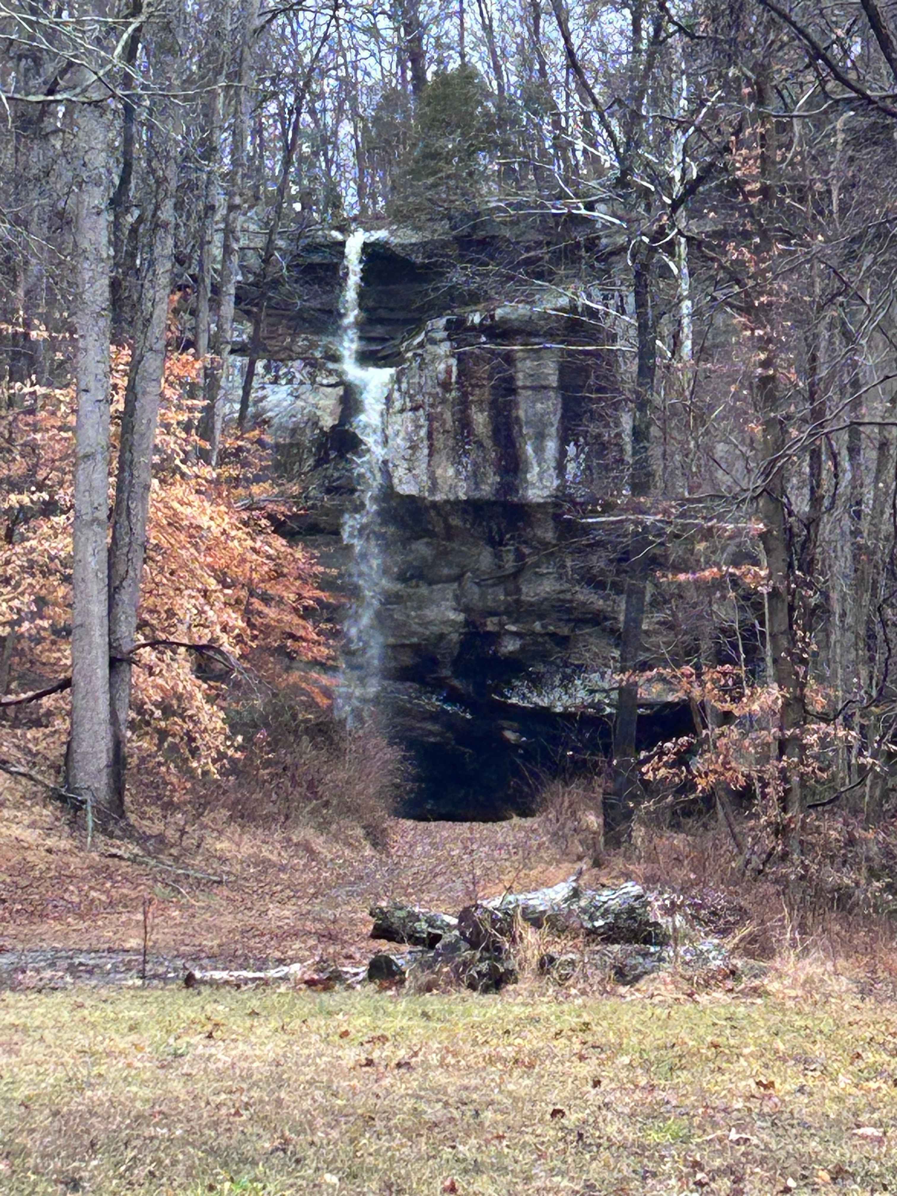 Tar Springs 2