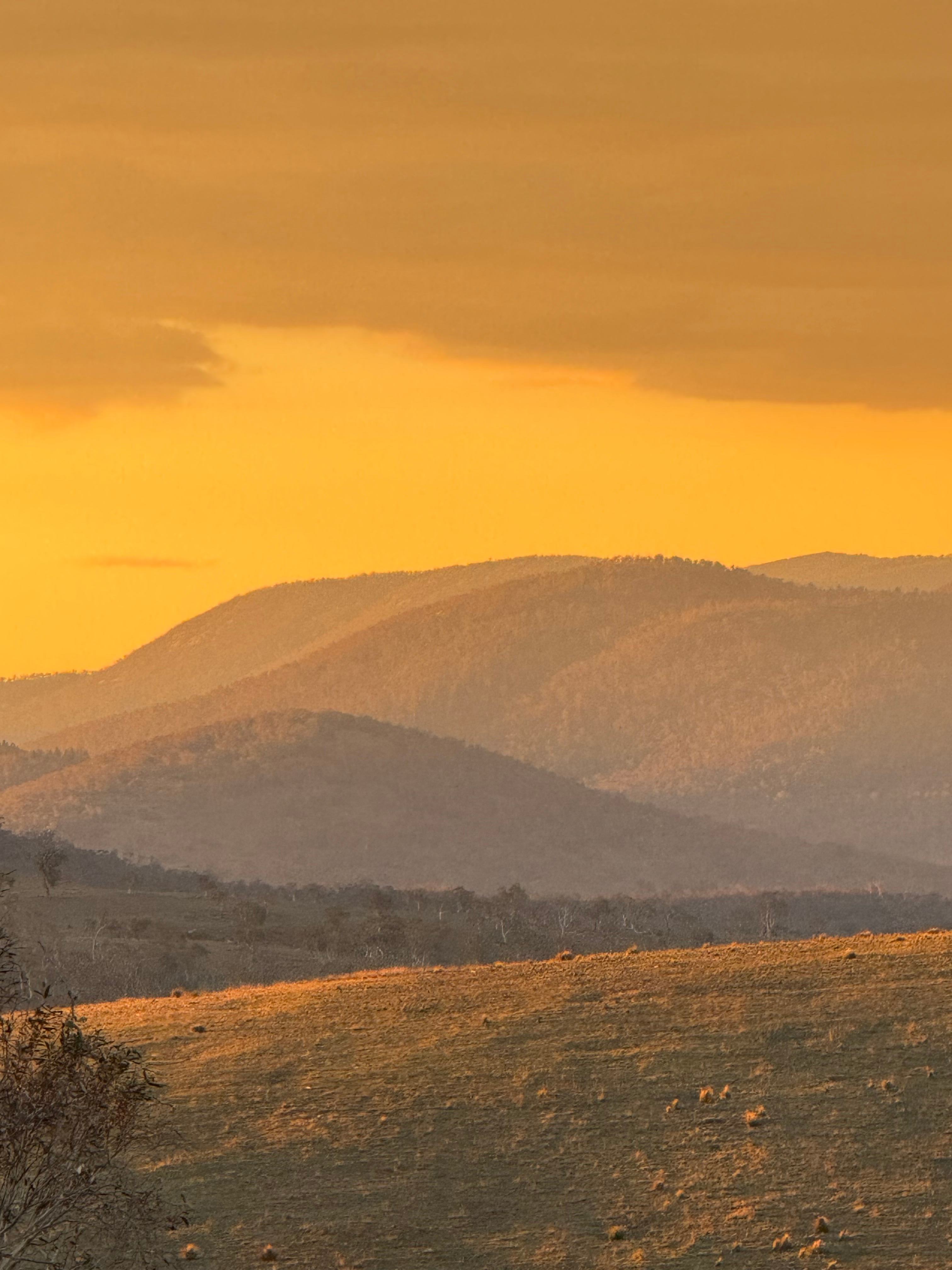 Wombat Pines - Private Camping