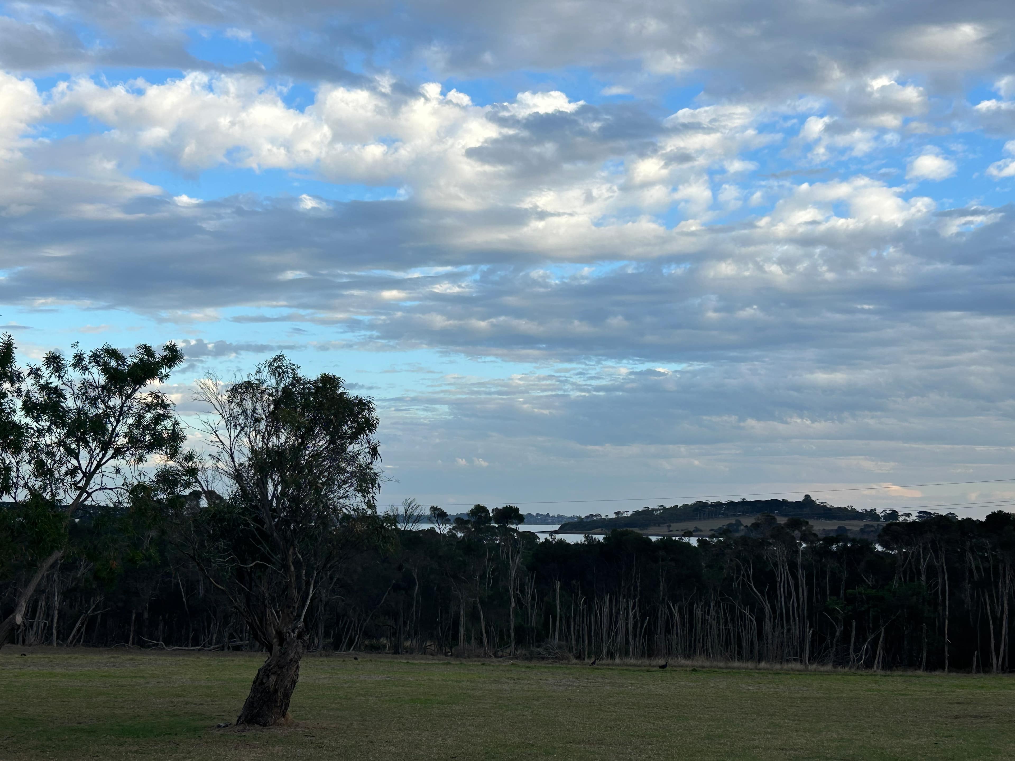 Banksia Park Estate