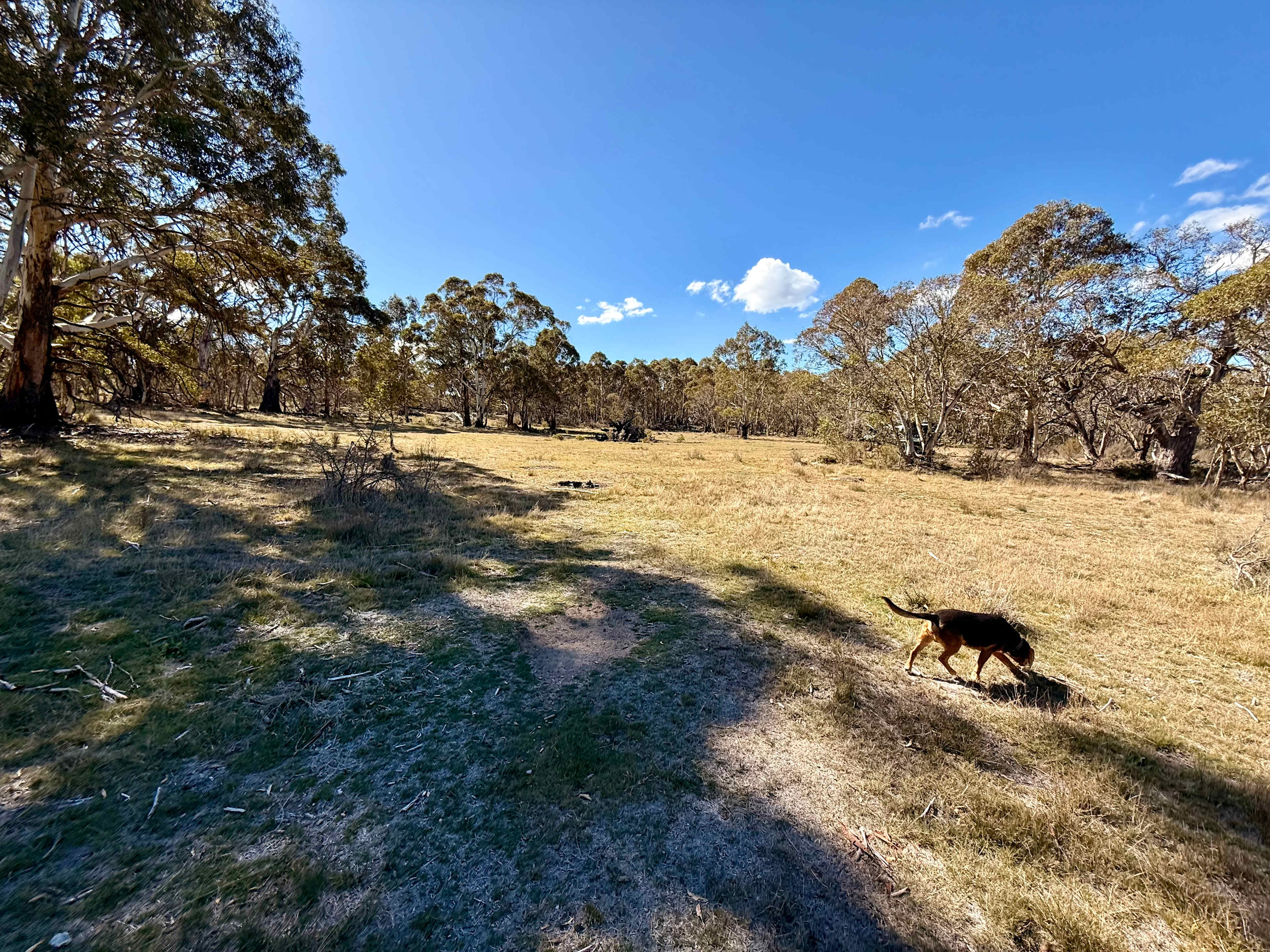 High Country Camping