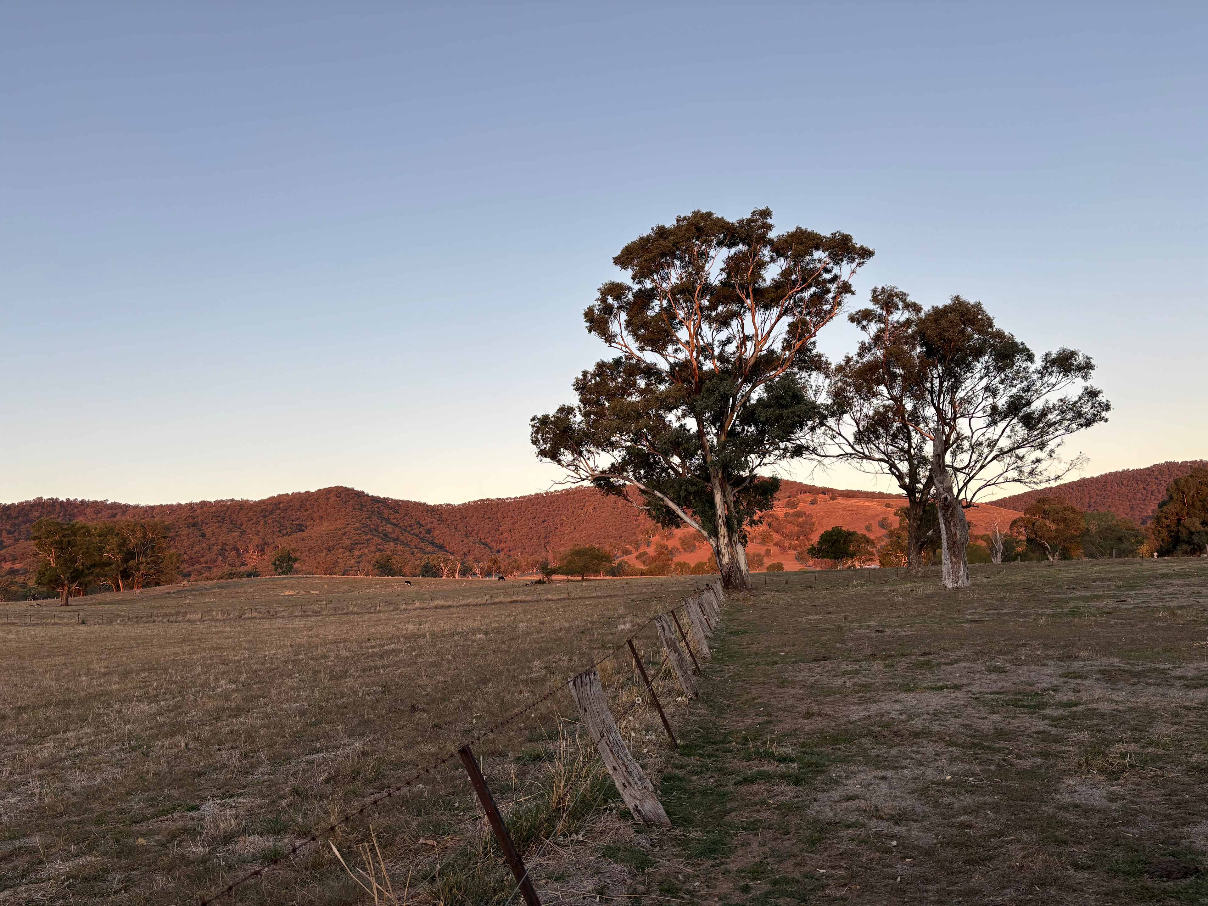 Thowgla Hall and Recreation Reserve