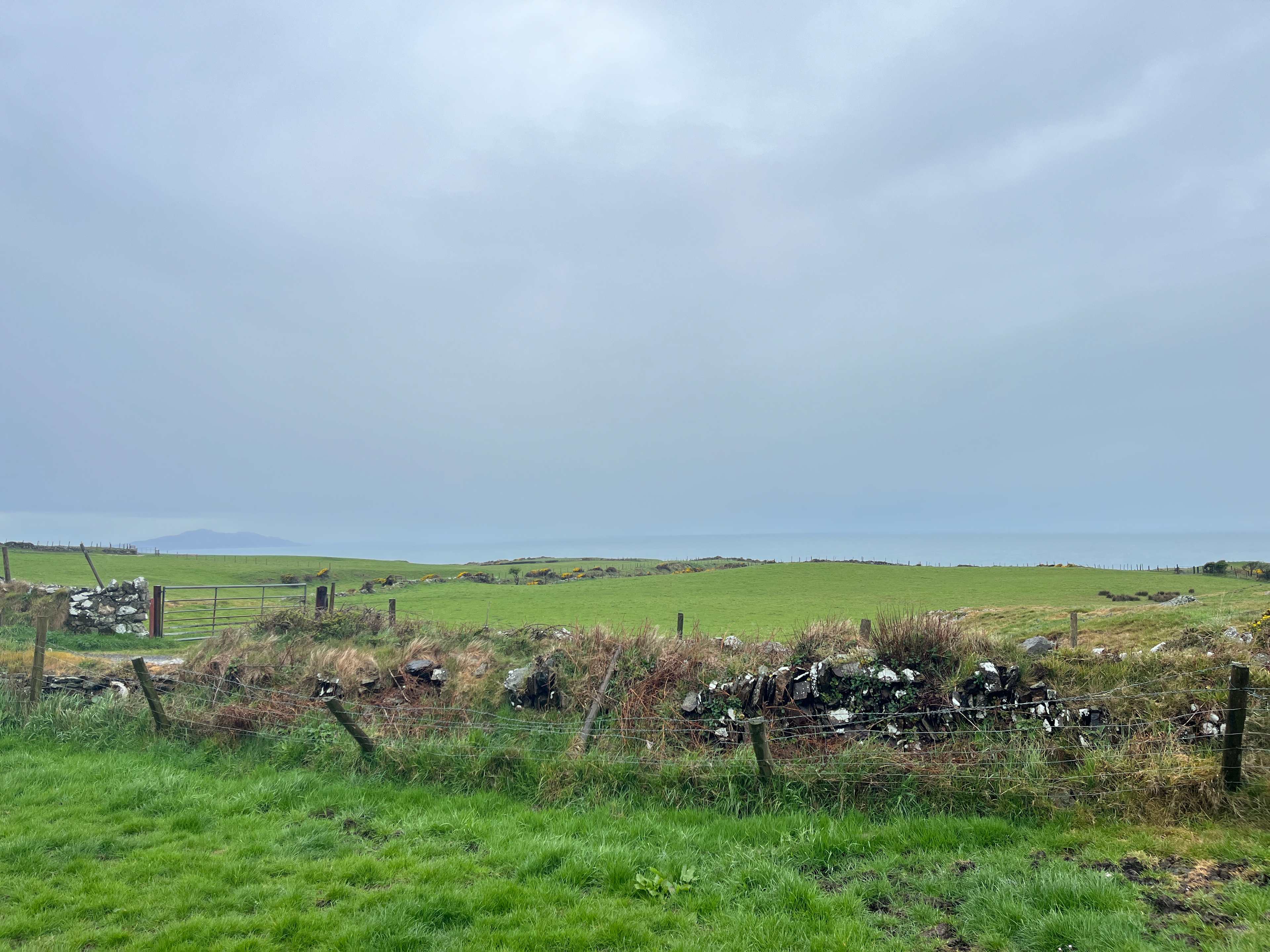 View from our van 