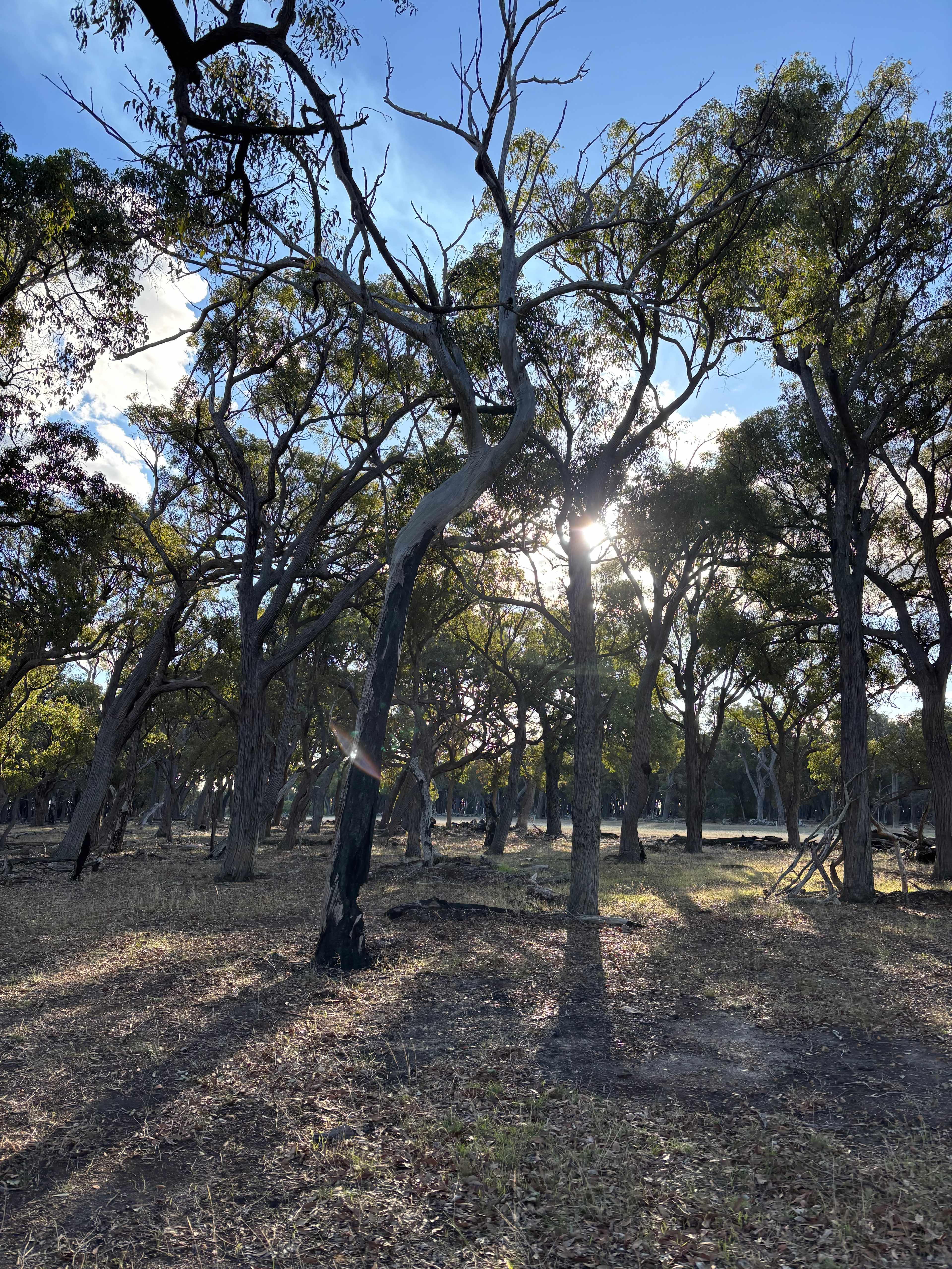 “Clear View” Farmstay and Camping