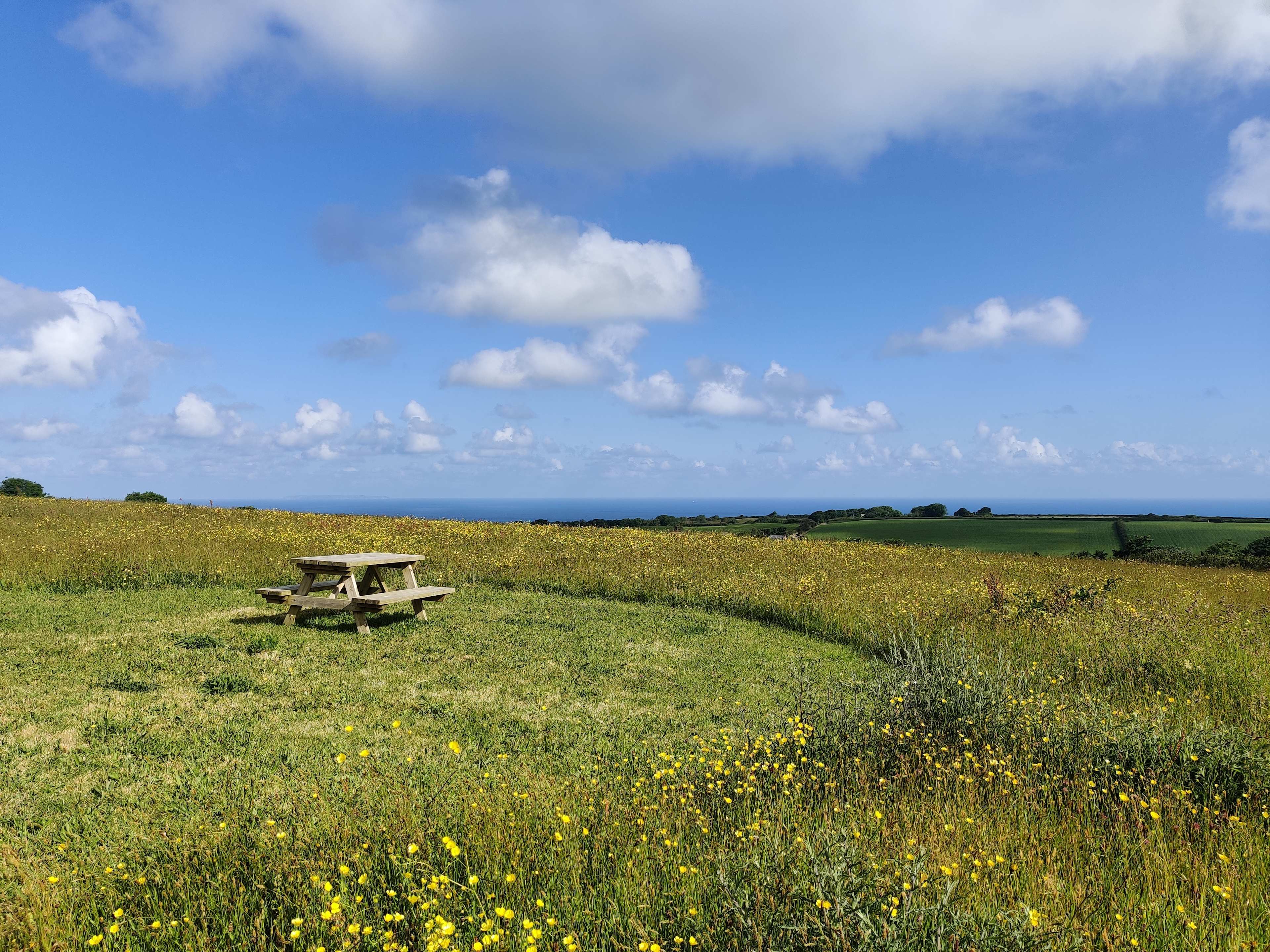Camp amongst the wildflowers with panoramic sea views