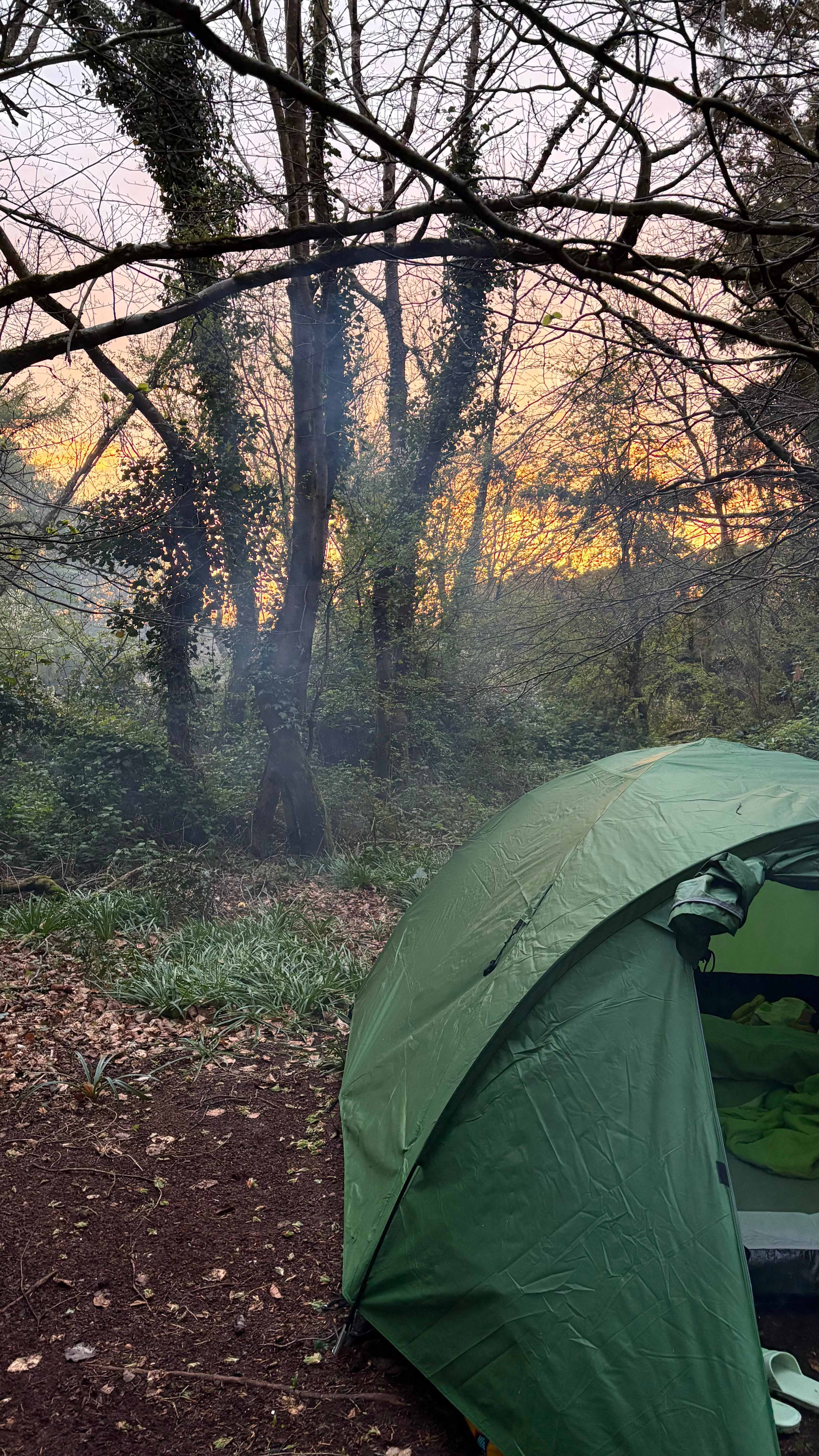Southover Woods and Camping