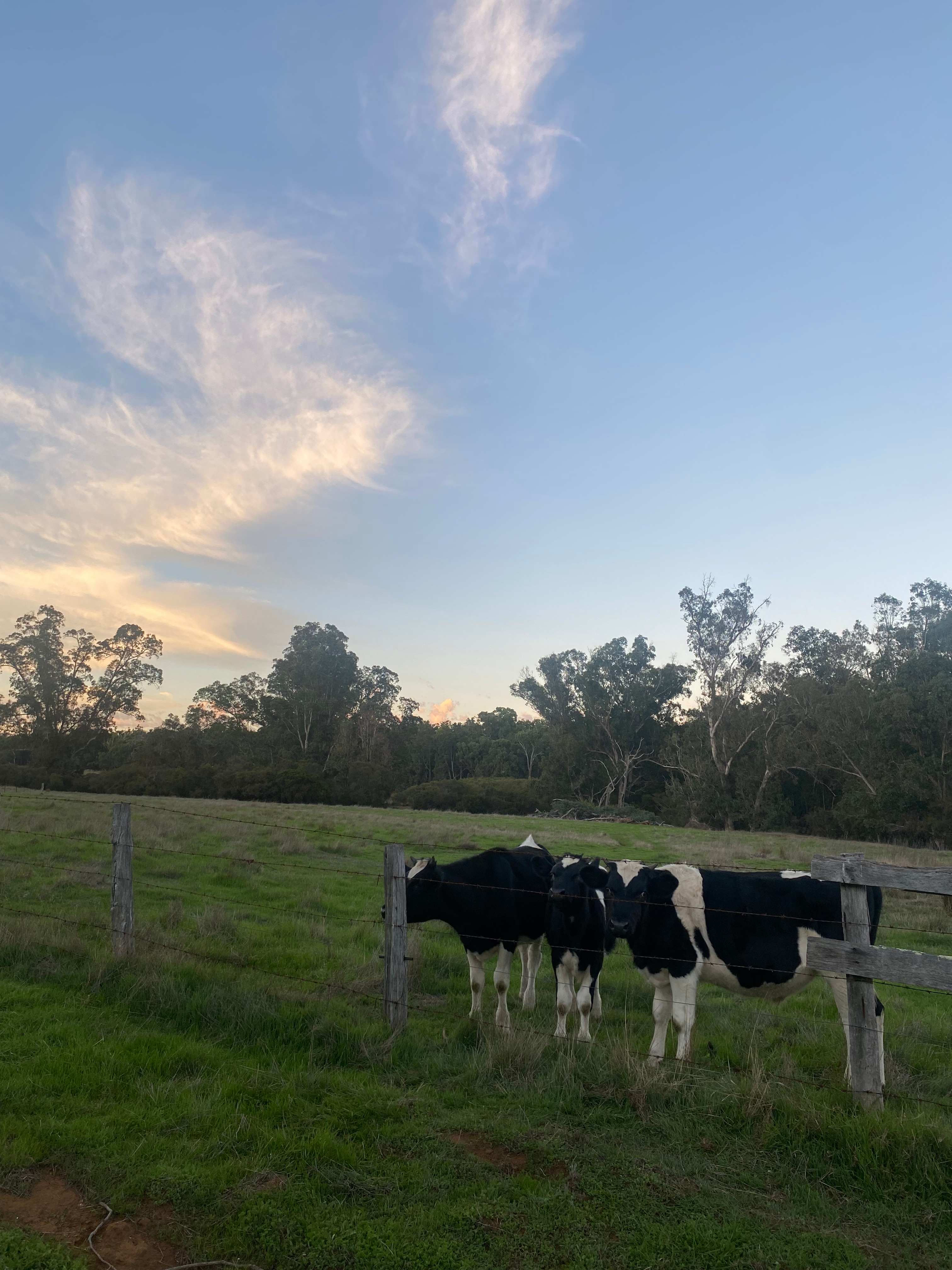 Old O’Donnells Farm