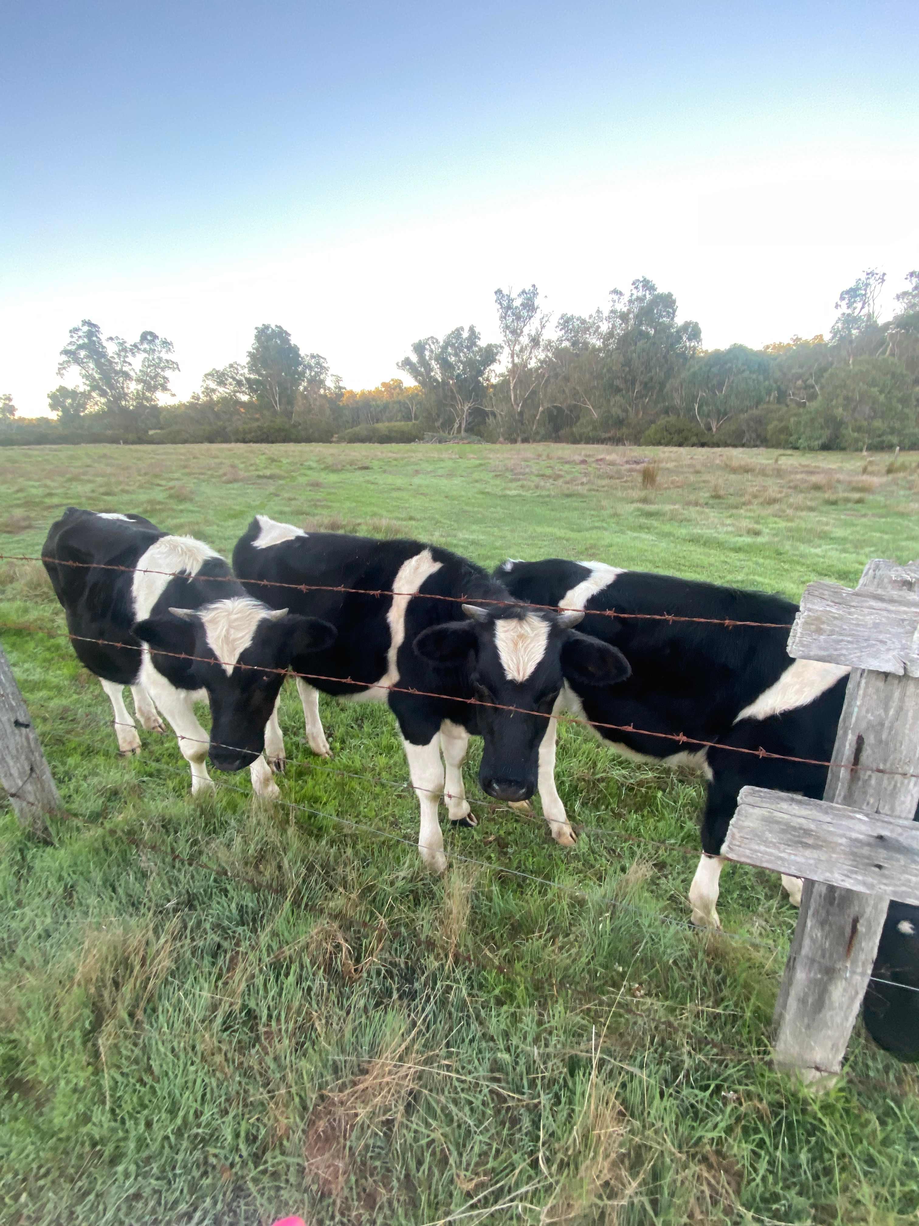 Old O’Donnells Farm