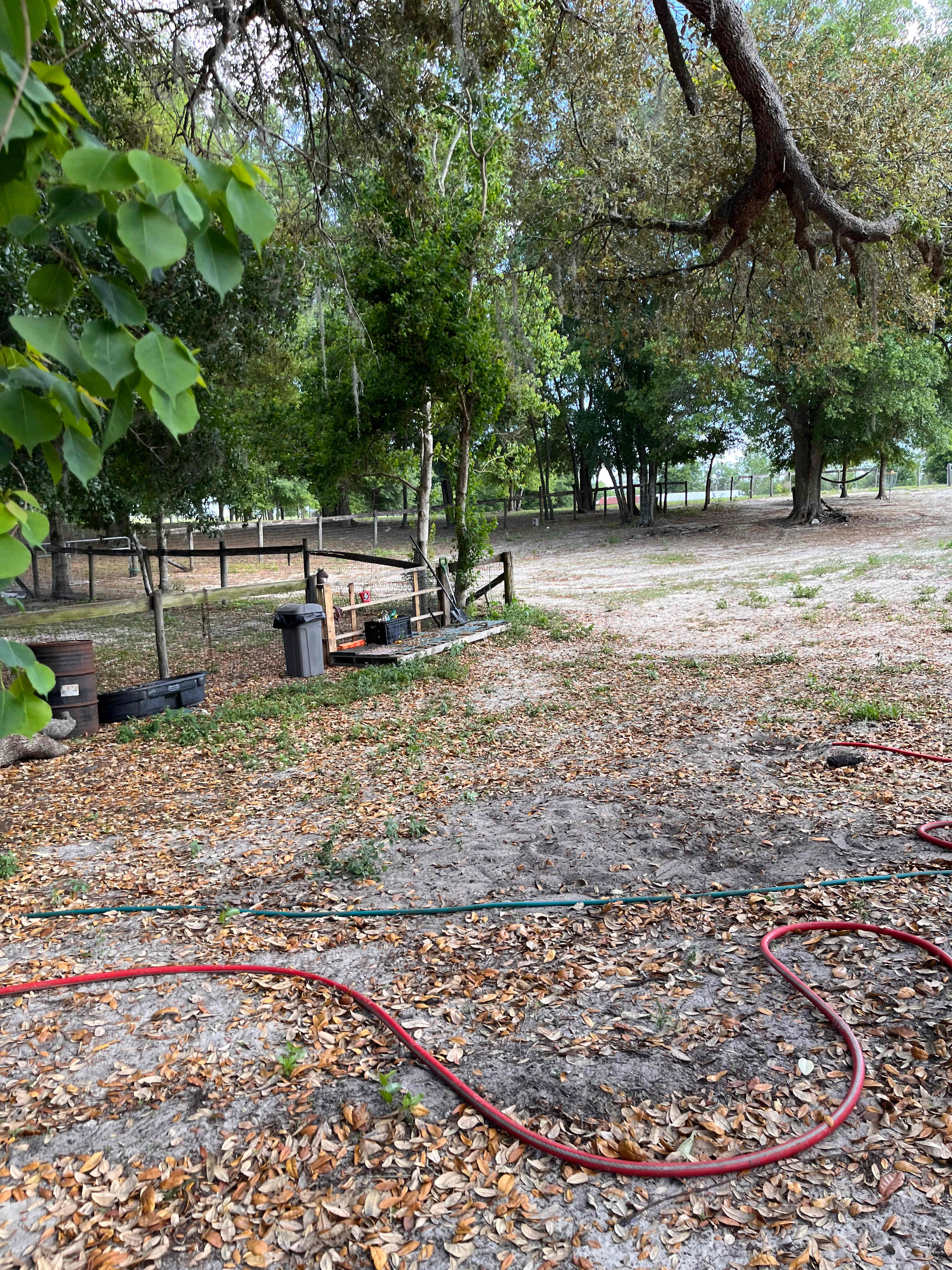 Big Oaks Dog And Horse Camping