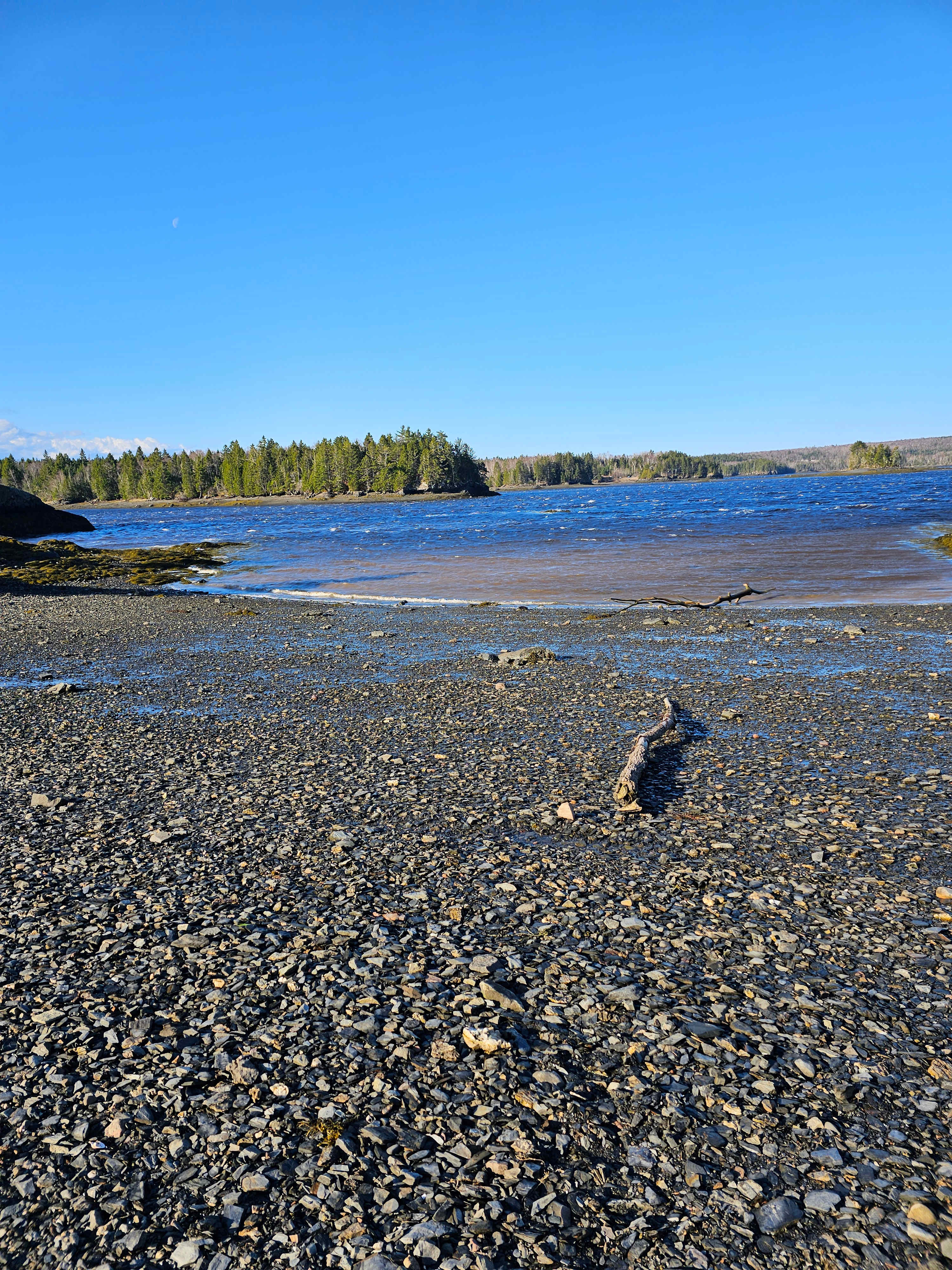 Mouth of the Magaguadavic Camping