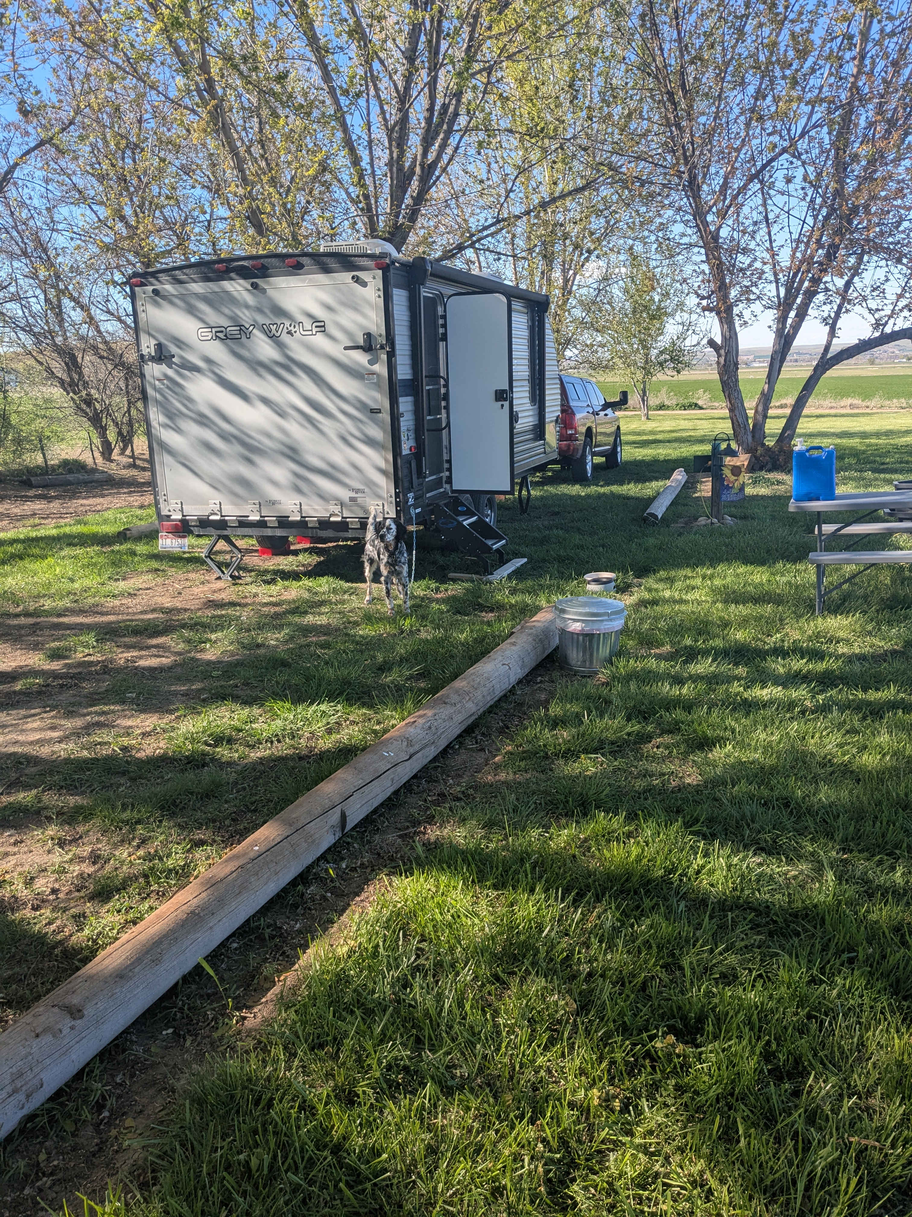 Mini farm campsite