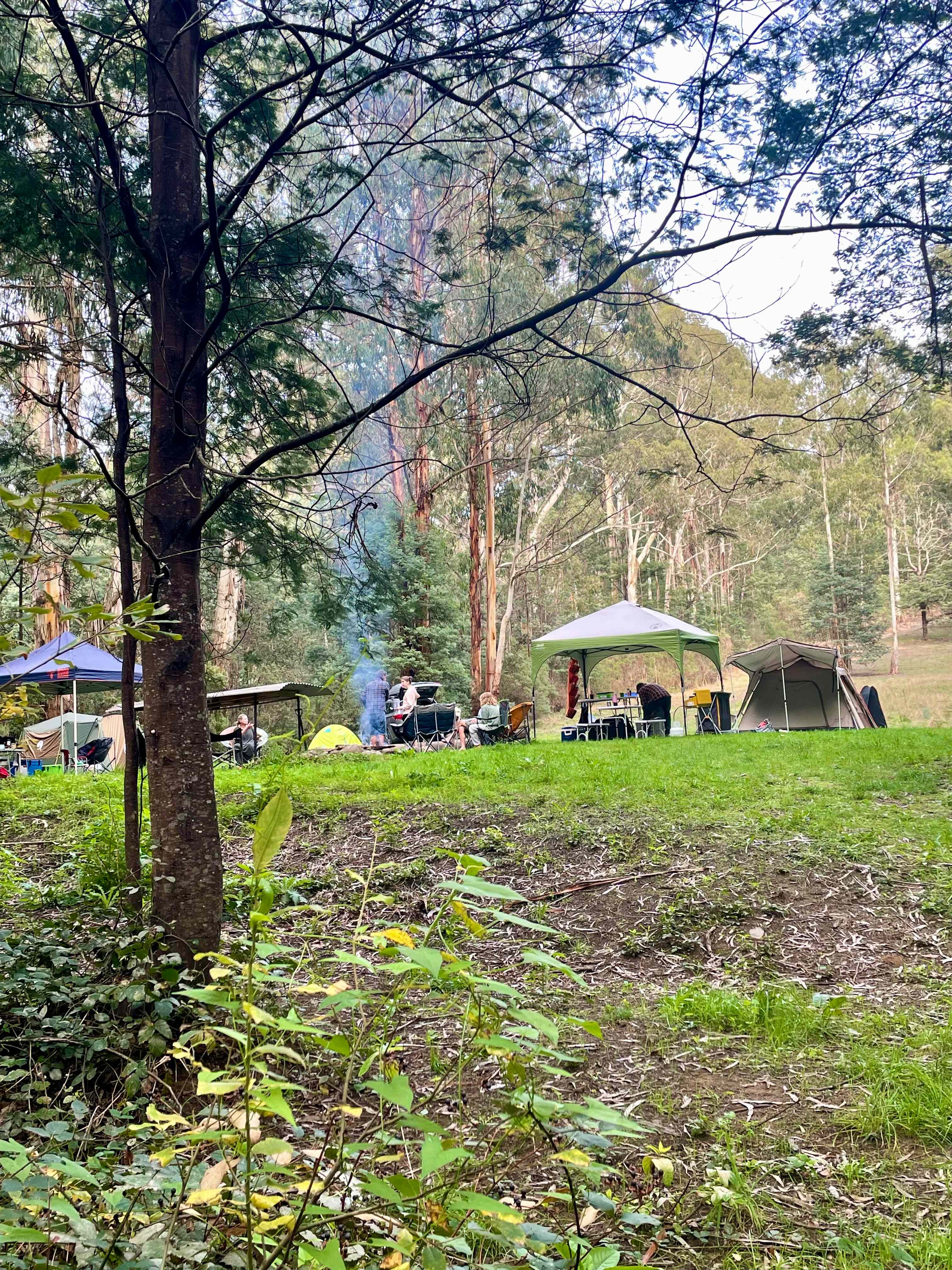 Merrimans Creek Seclusion