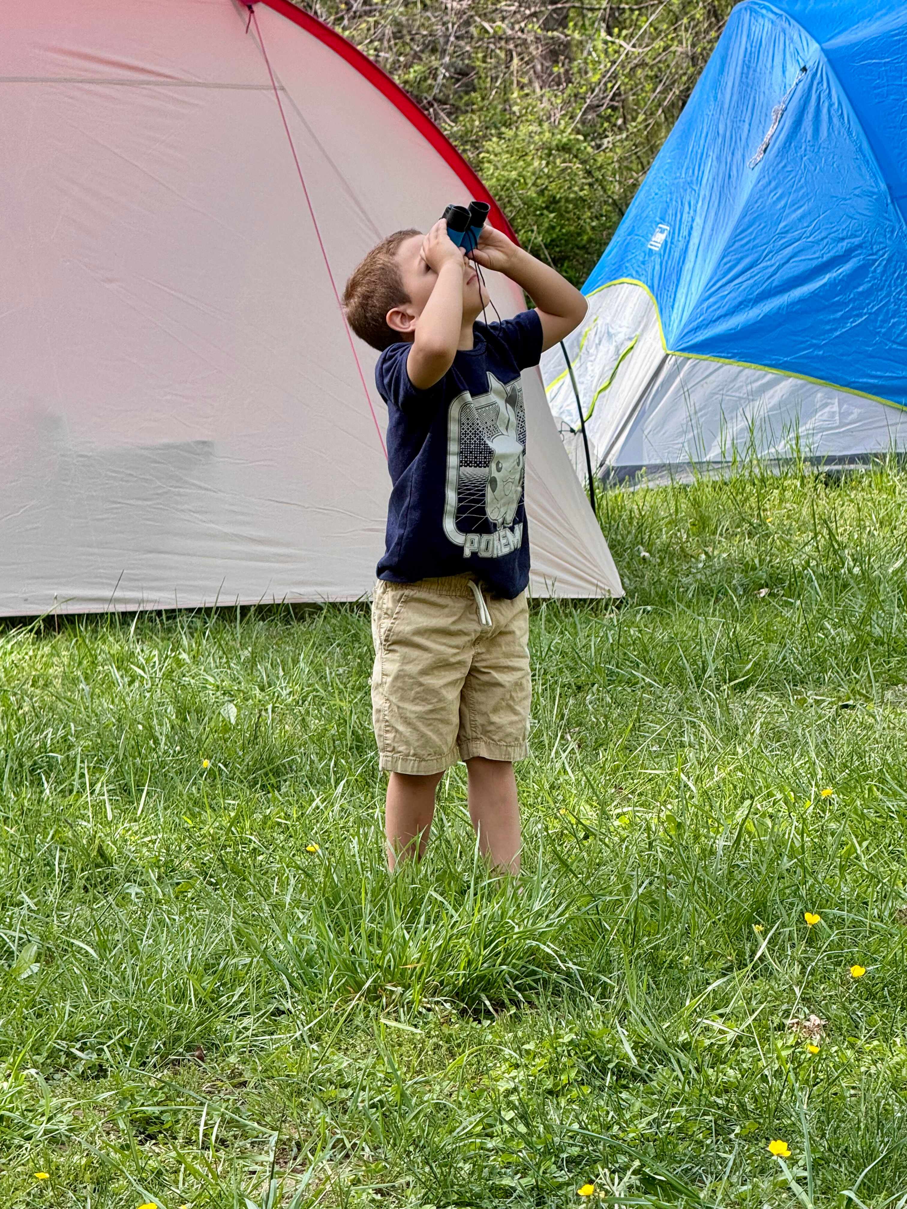 Savage Acres on Craig Creek