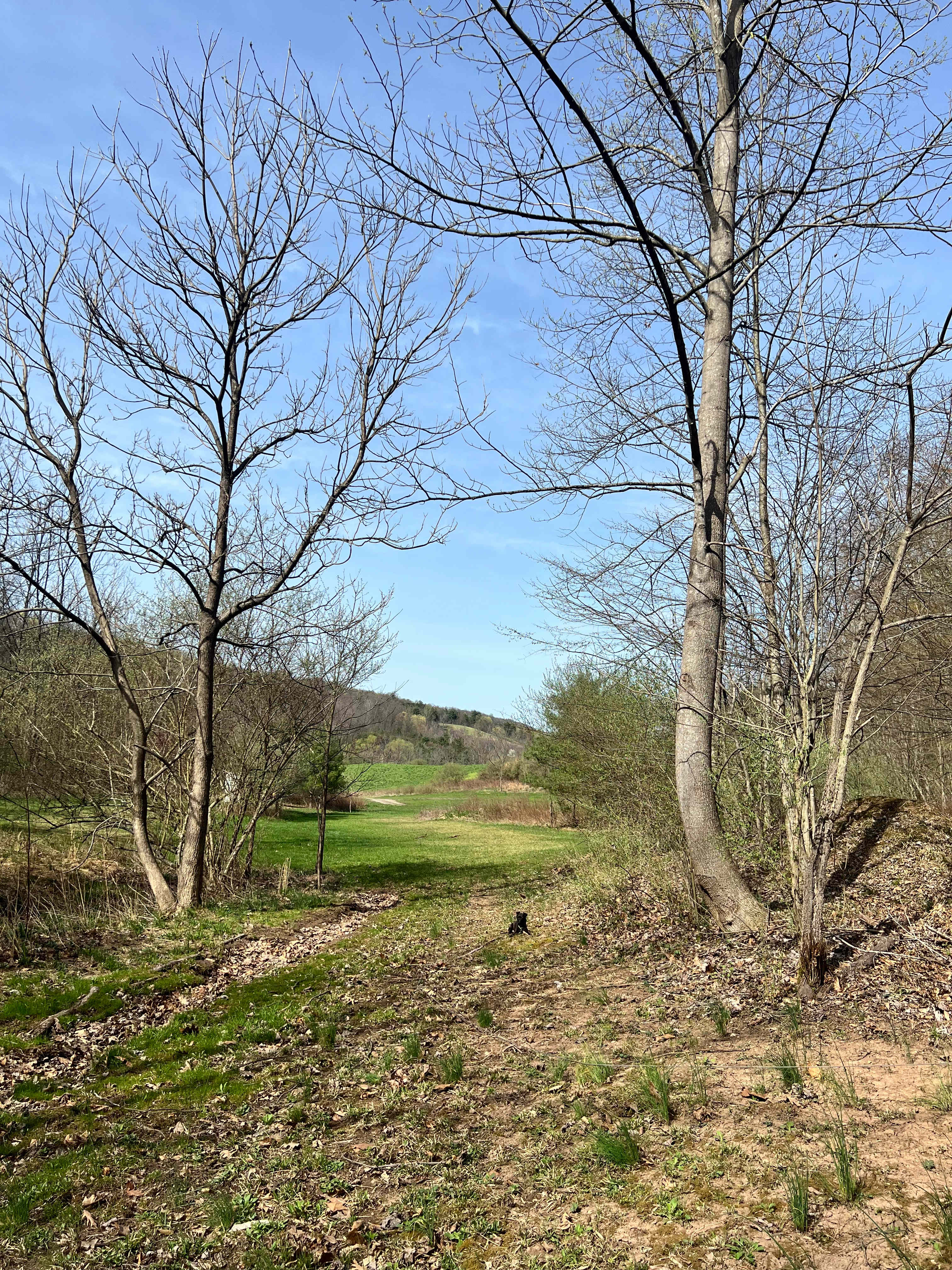 Wilson’s Boondock Hollow