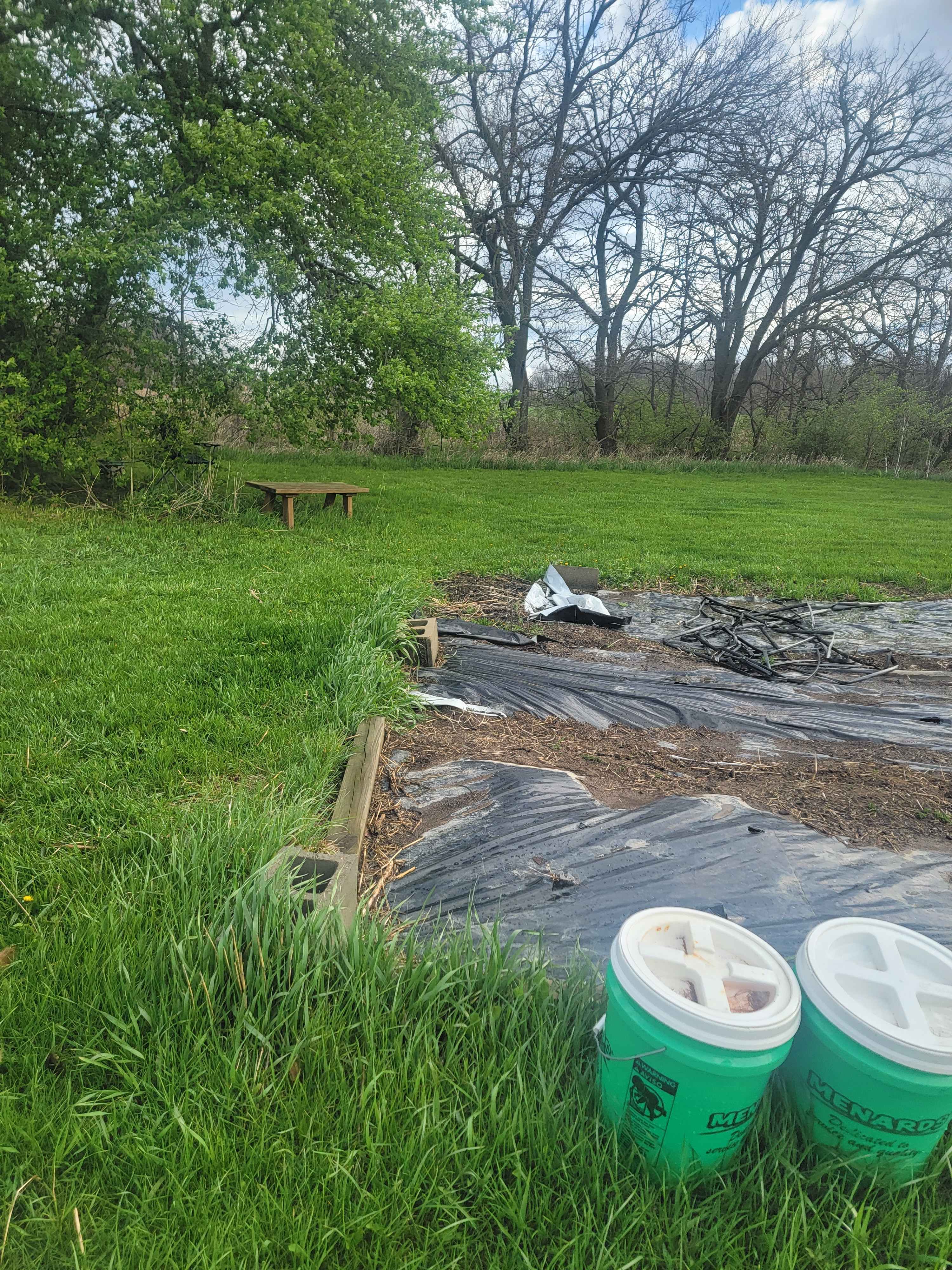Chickens are nearby, welcoming spring!