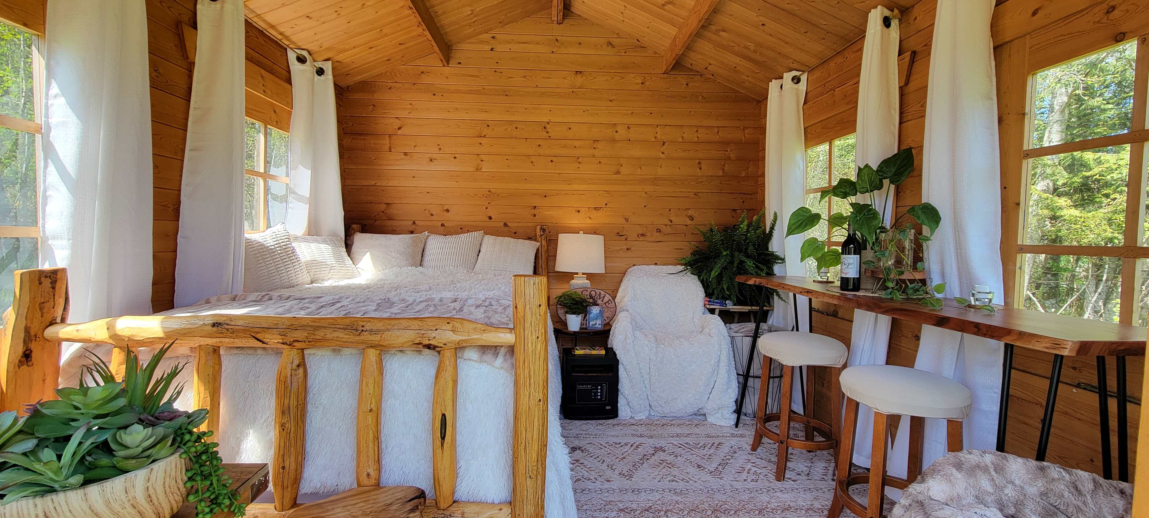 Olympic National Park-The Cozy Pine