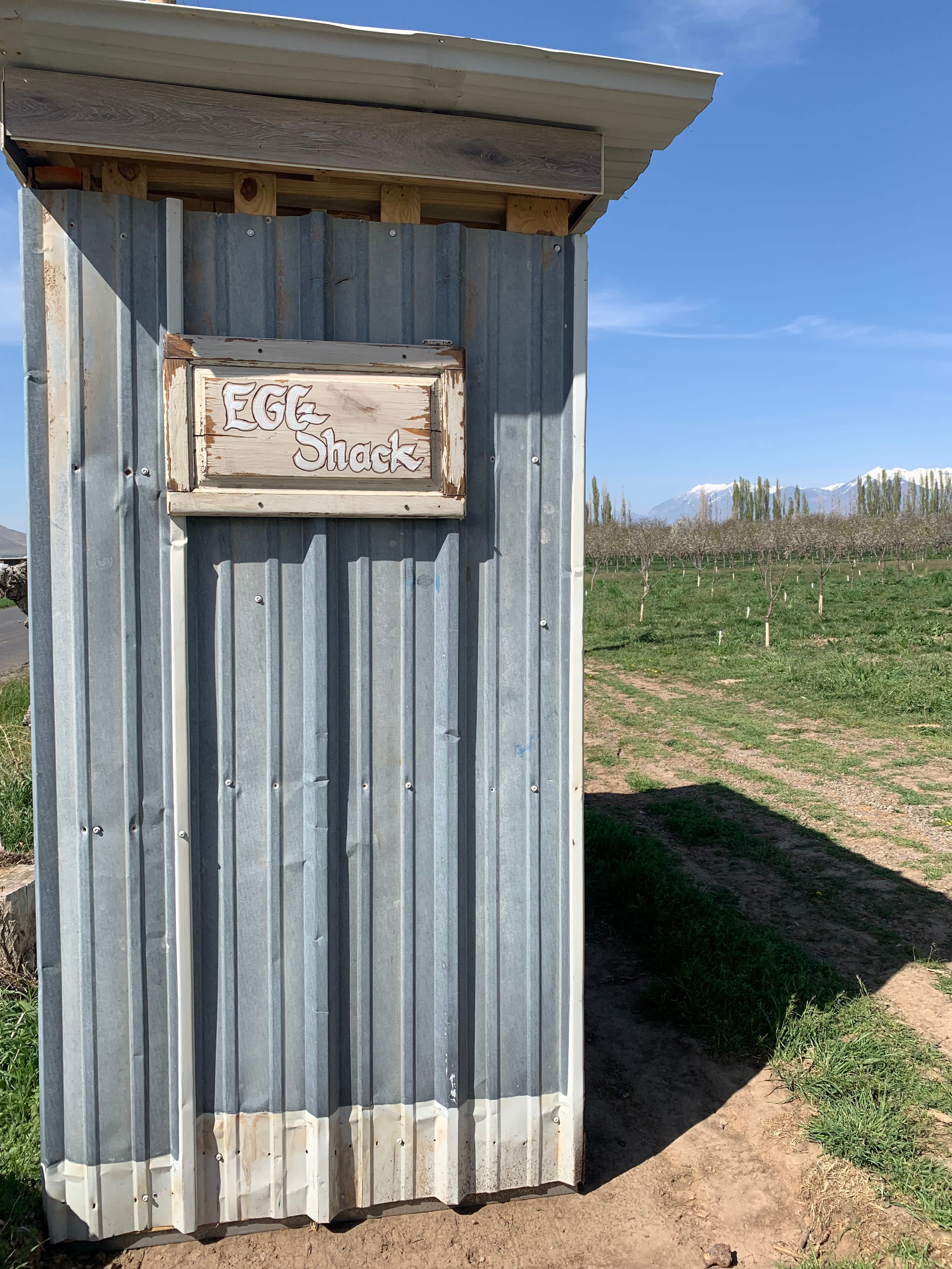 Secluded Orchard Boondocking - Photo 3