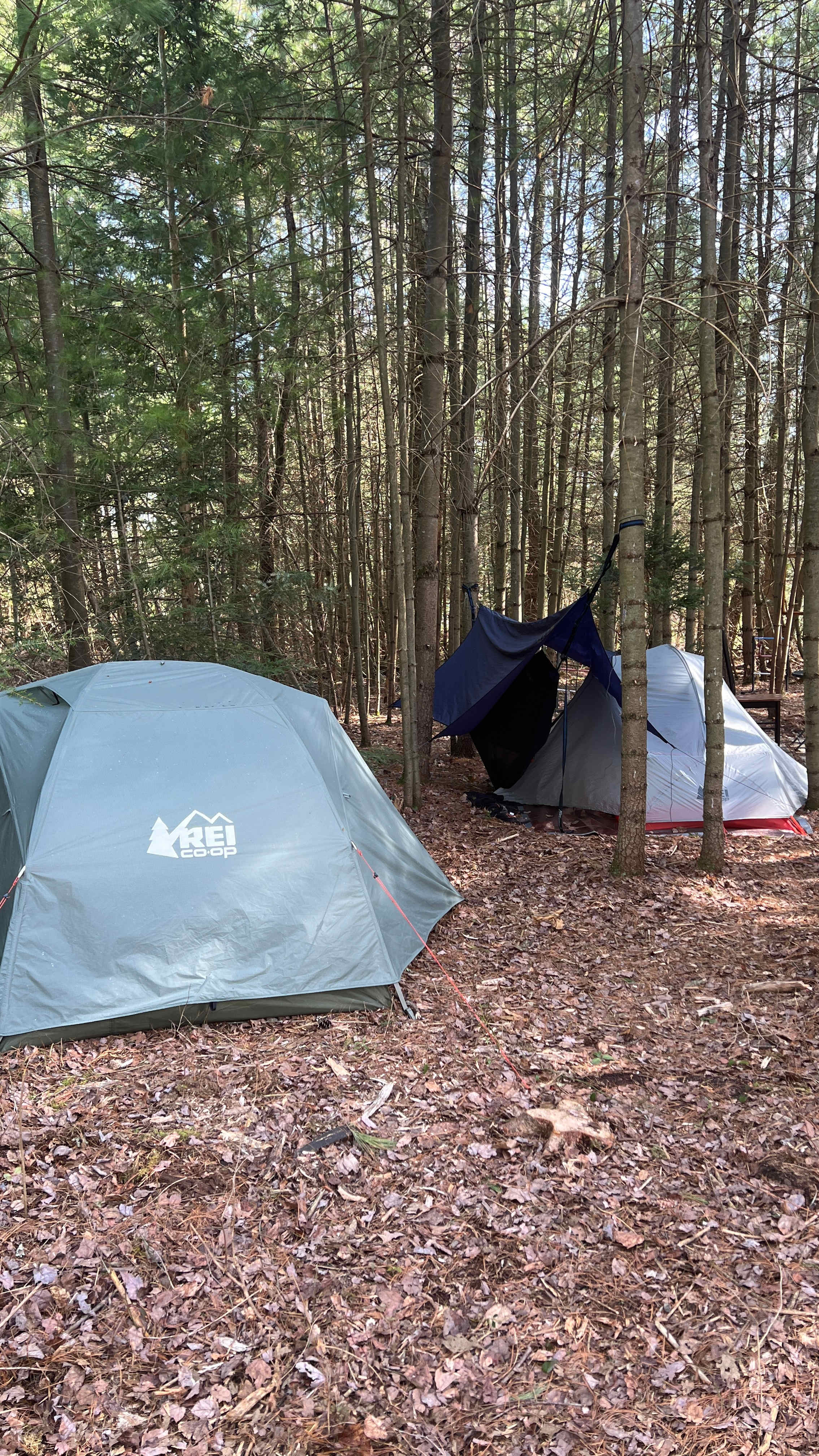 Crystal Spring Camp