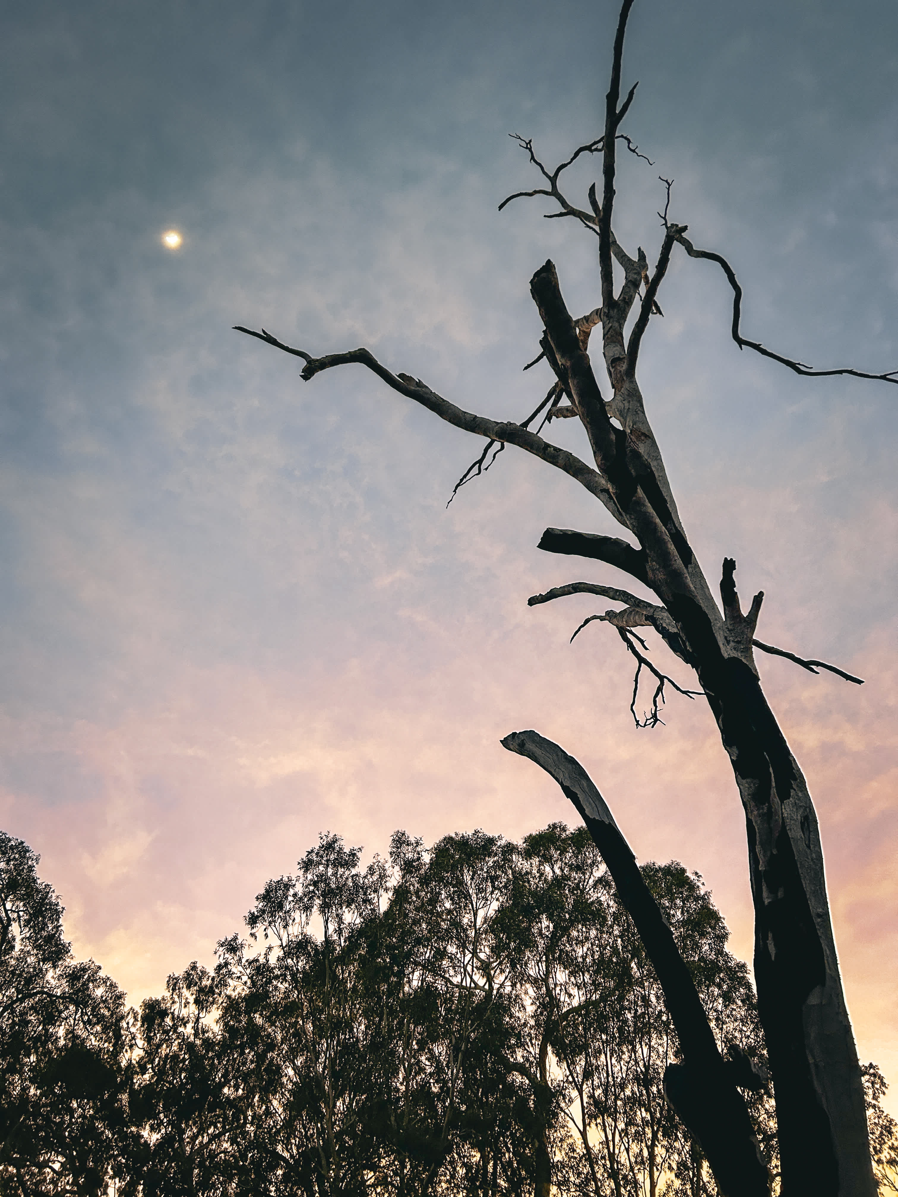Moon over Signet river at sunrise.