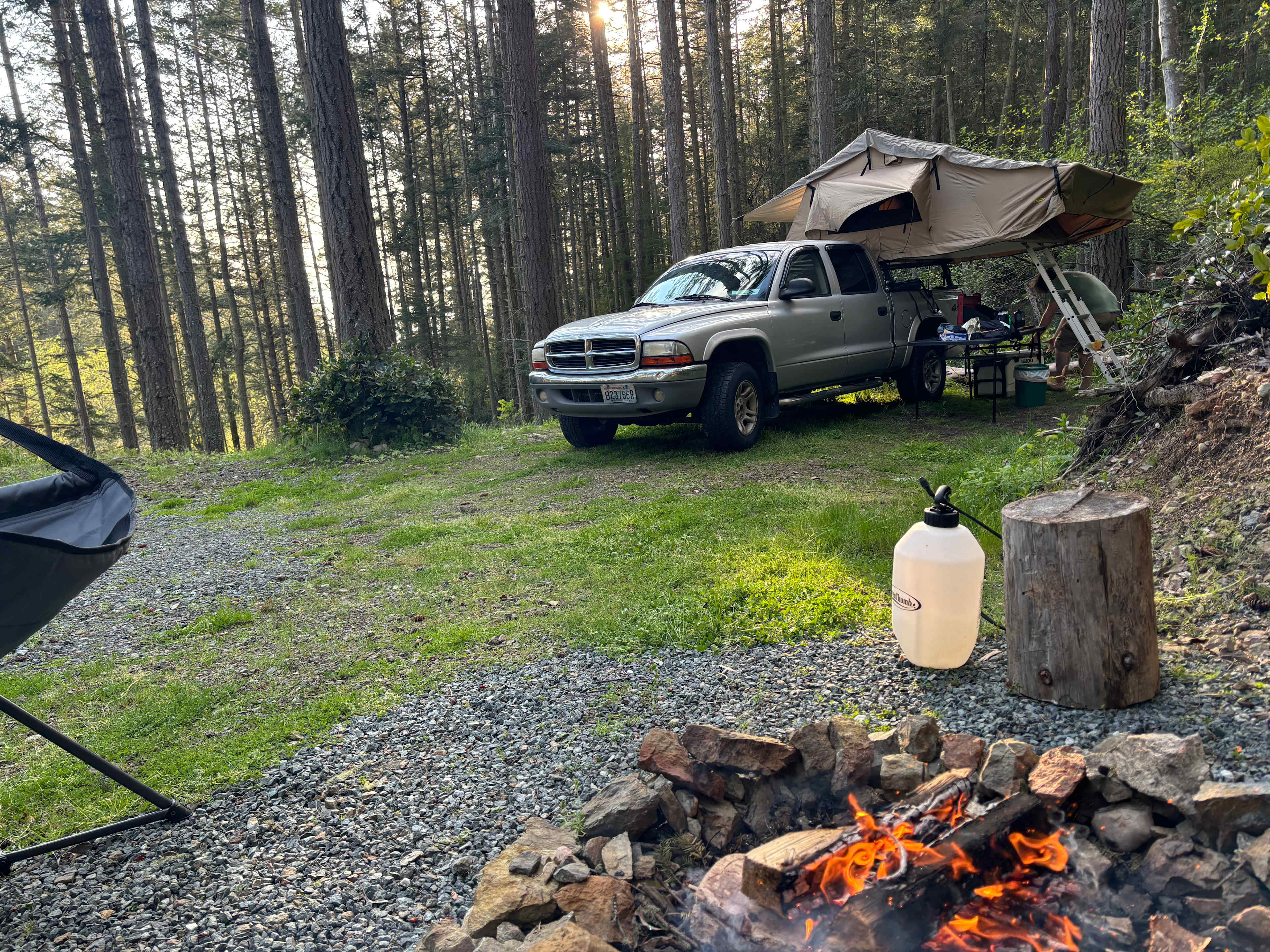 Site 7