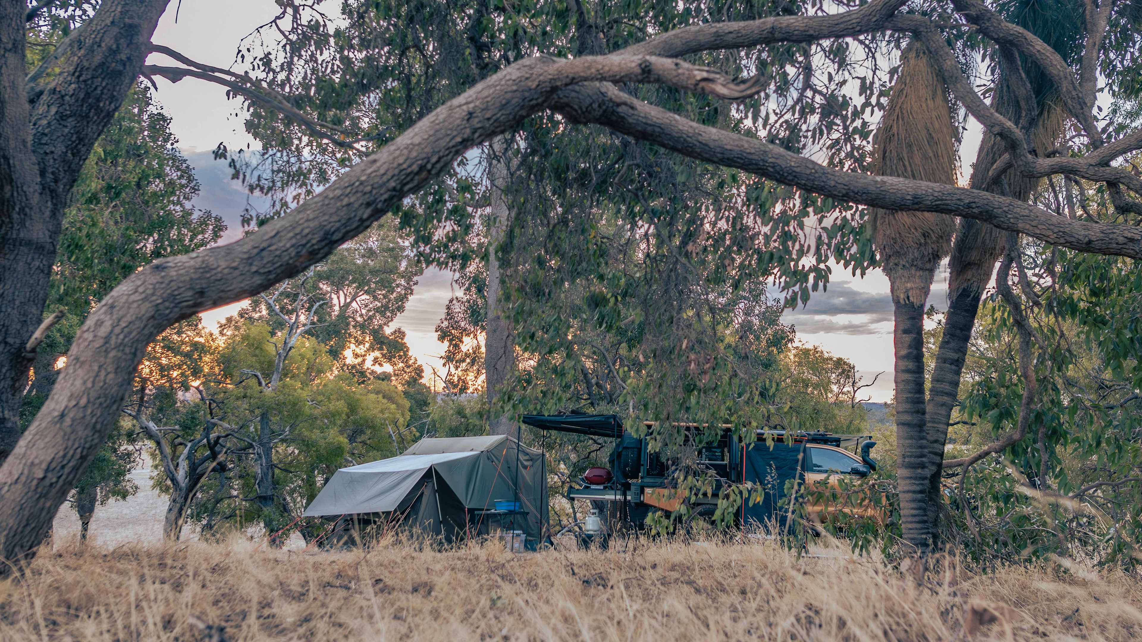 Jacaranda Hill Farm