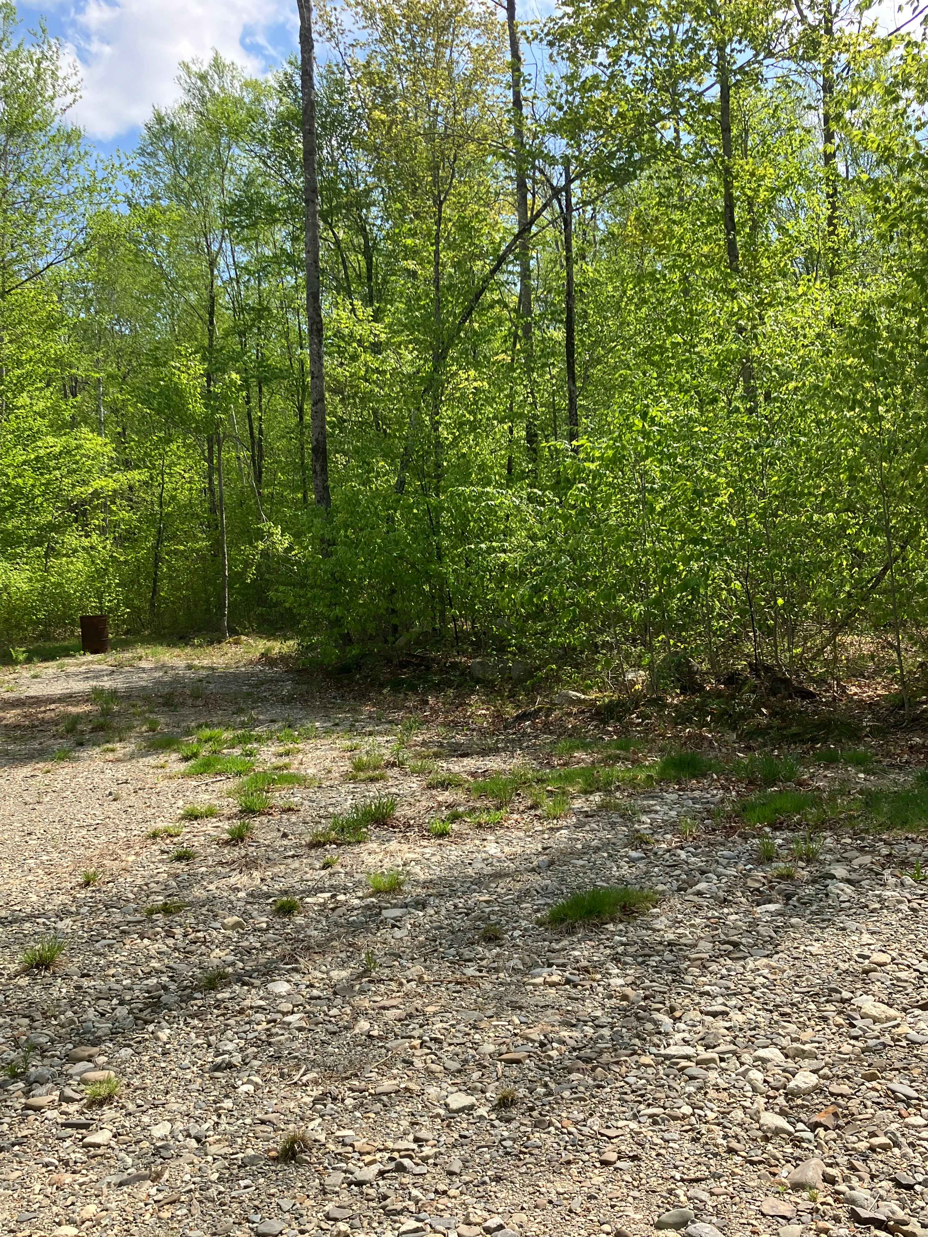 13 Acres/Off Grid/Branch Lake!