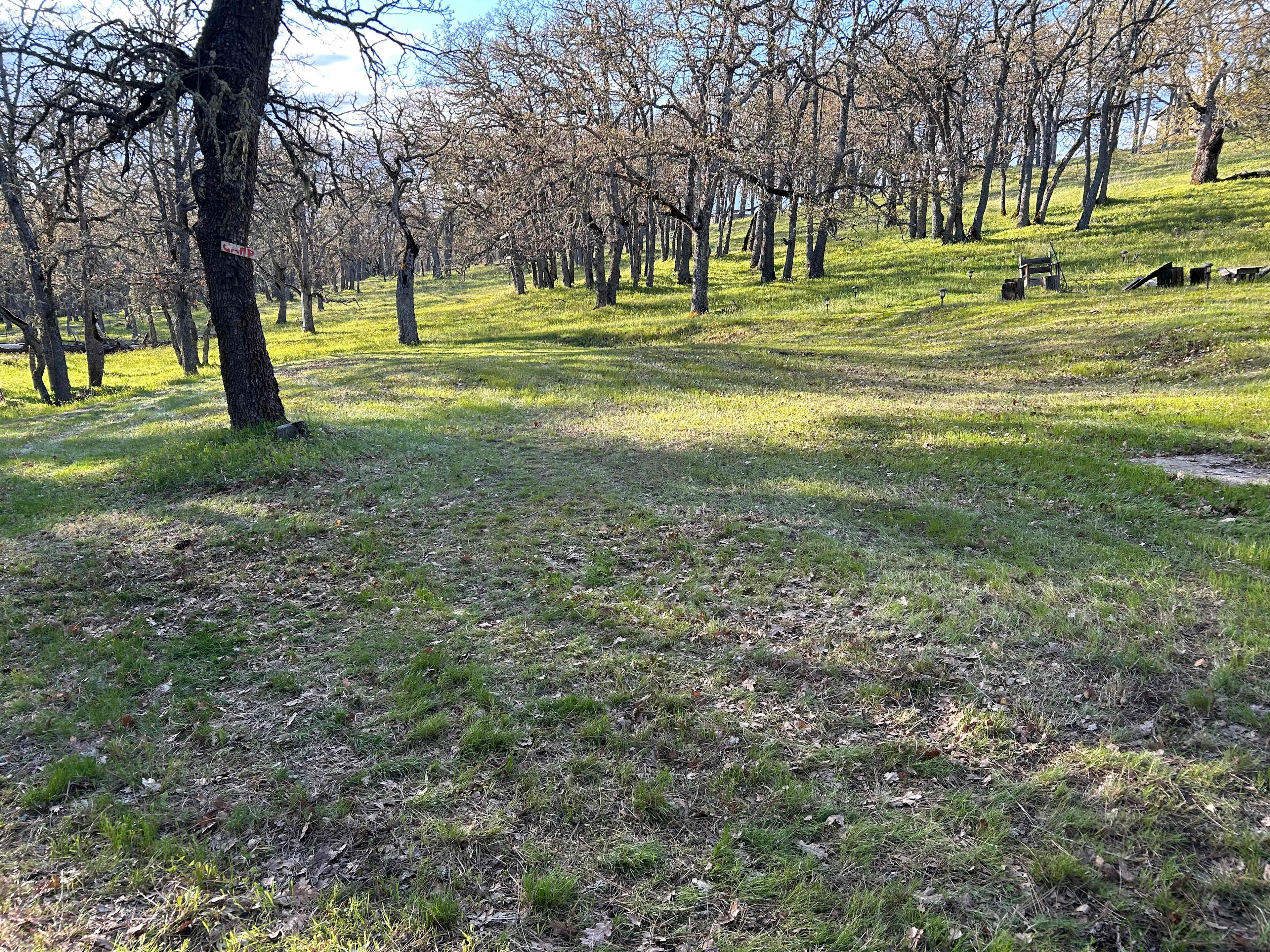 Site on your left when driving in; picture taken 6pm in April, it will be more shady in the summer; this is a pull in or back in site