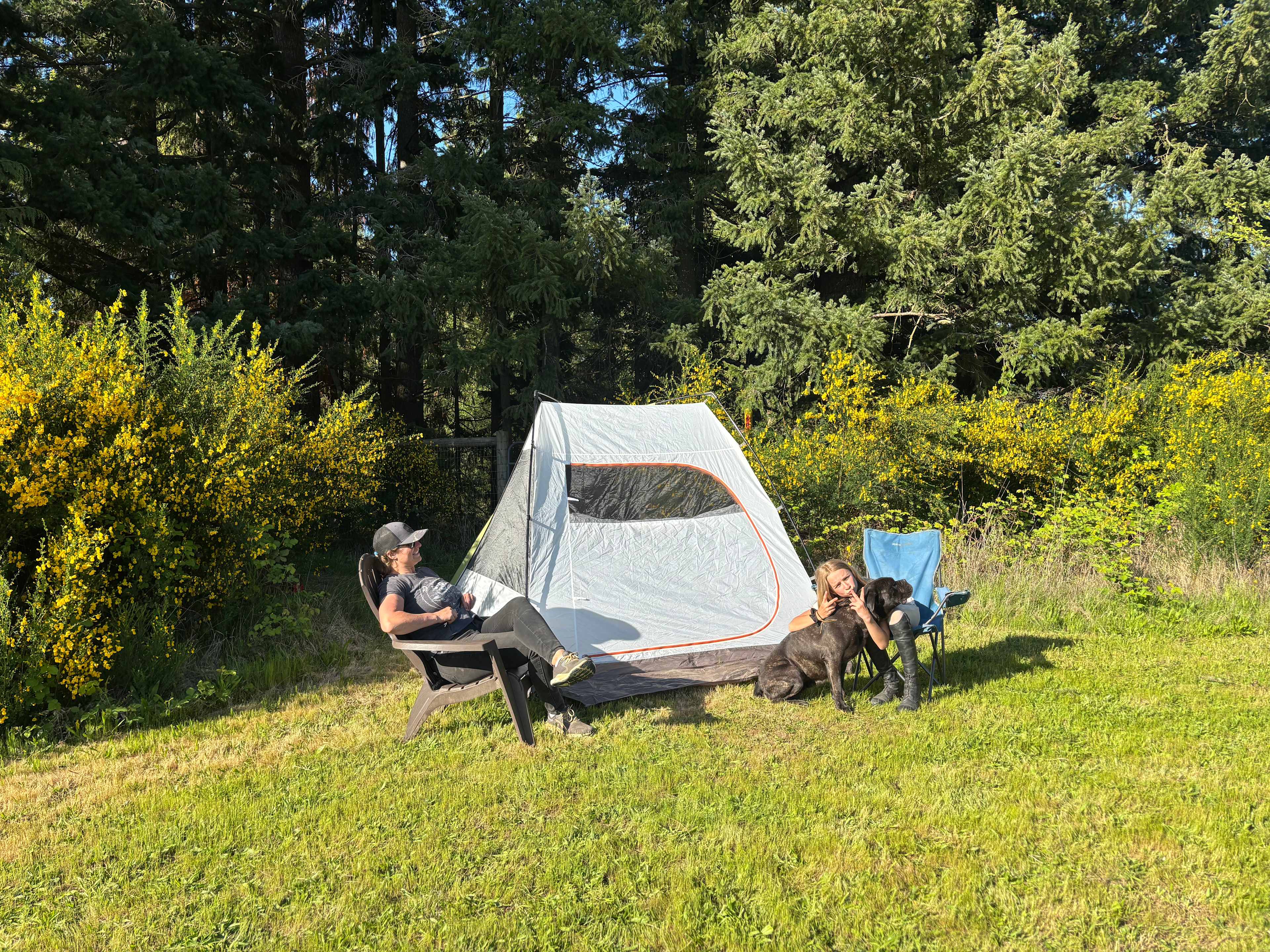 The Traveling Gypsy Ranch