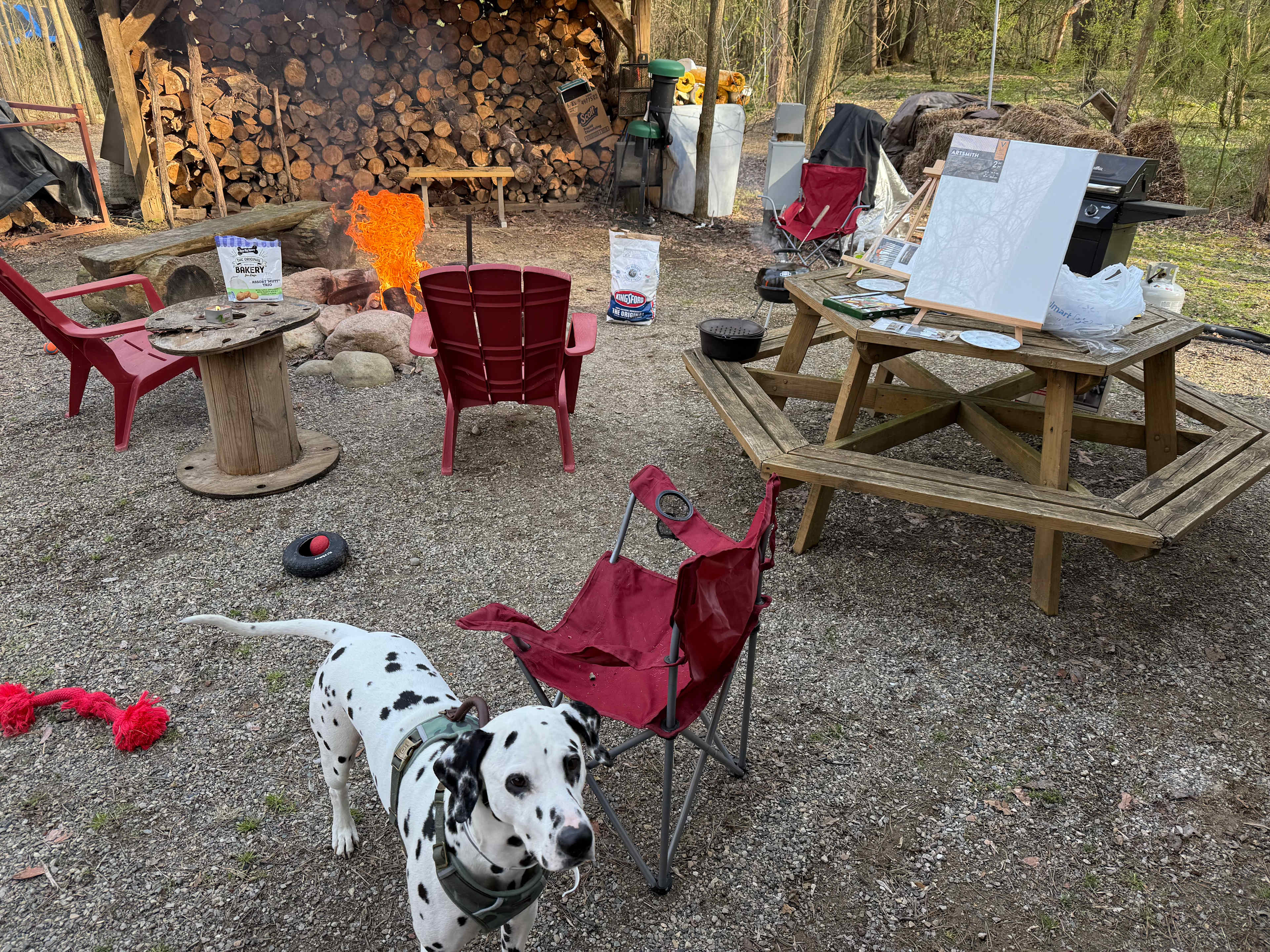 Camper On 11 Acres, Private Site